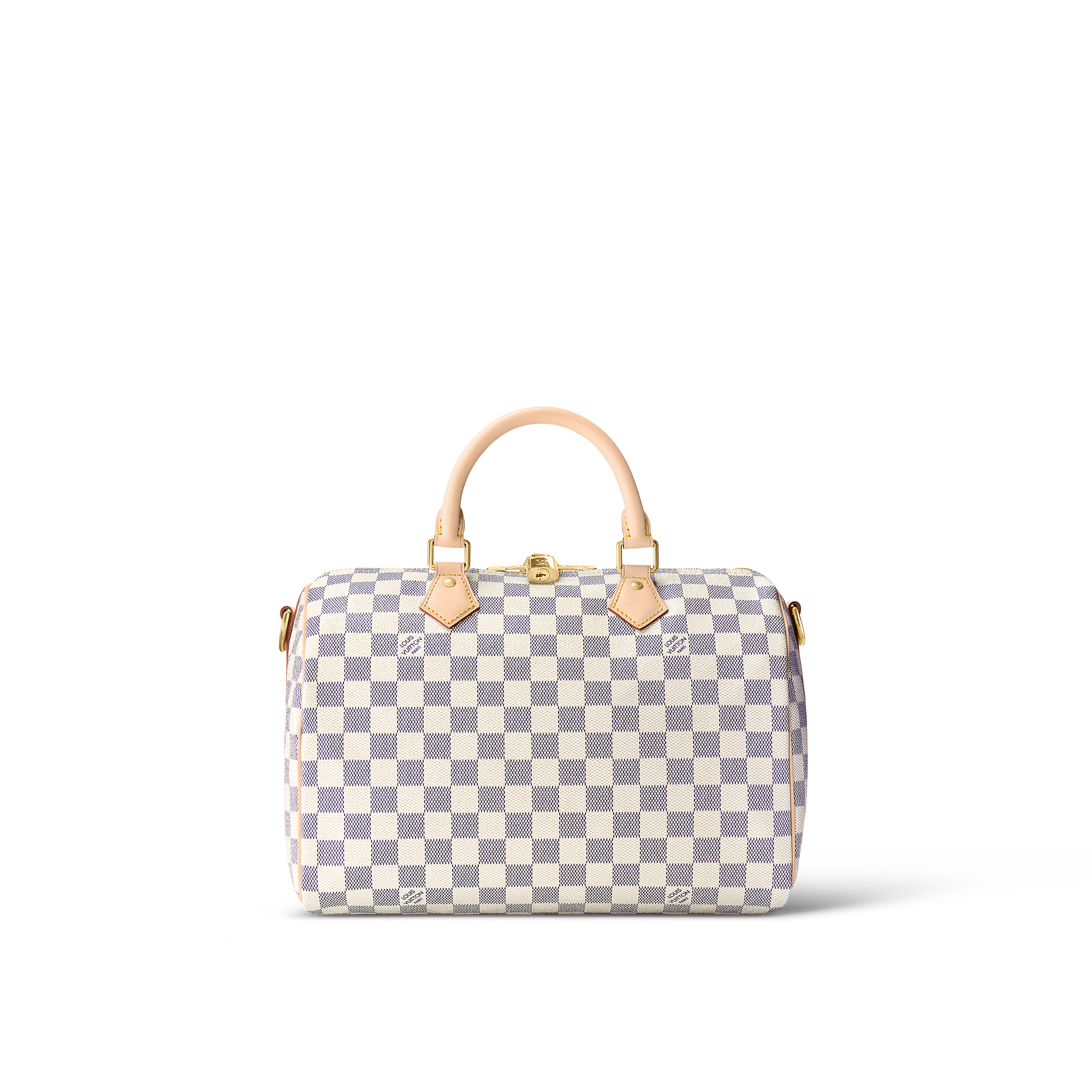 Que Traigo En Mi Bolsa Lv Speedy 25 Bandouliere | SEMA Data Co-op