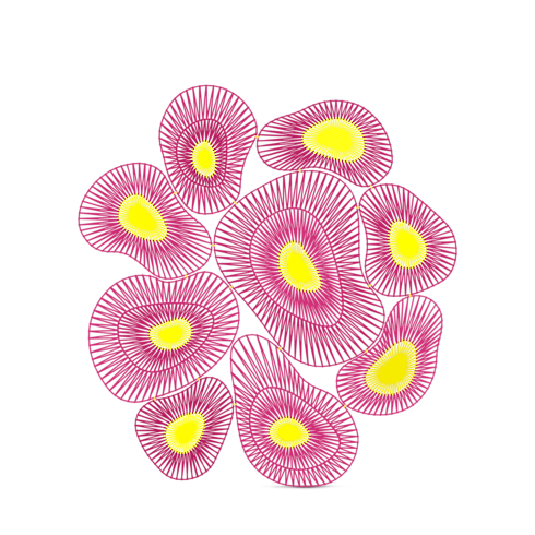 Violeta (No disponible)