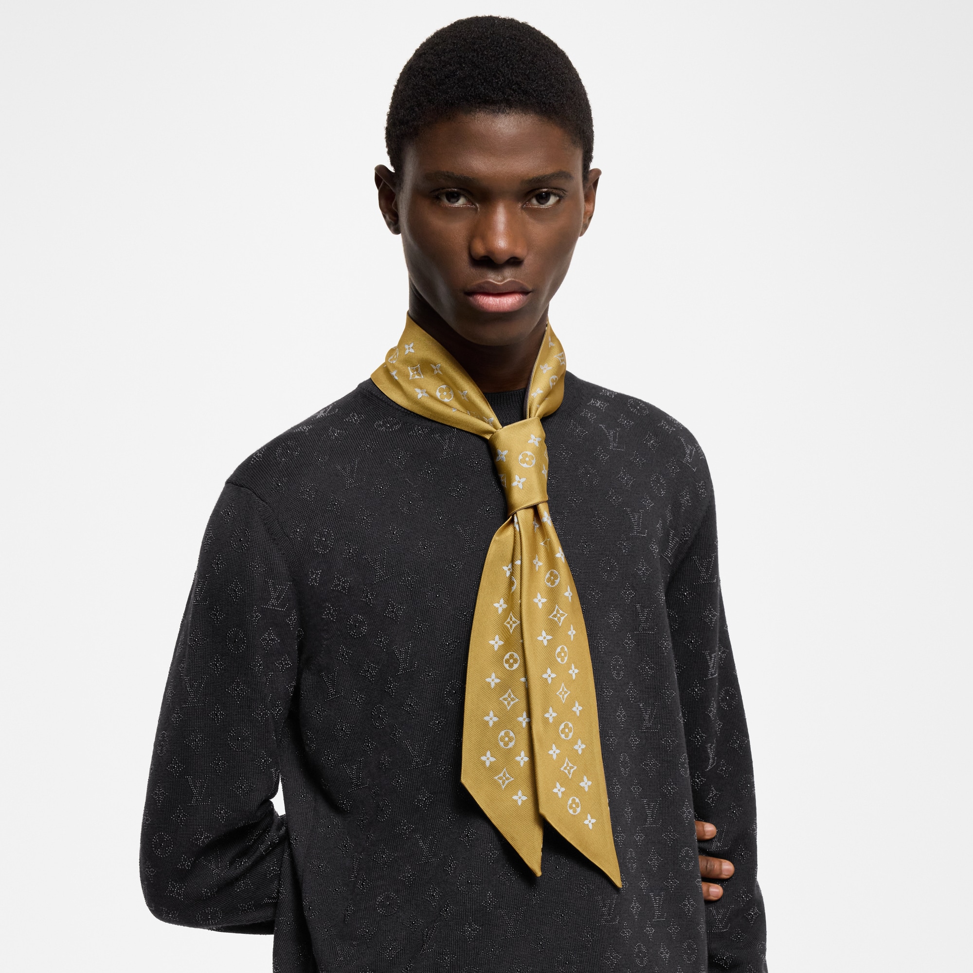 Bandana Dog Crest S00 Hombre Accesorios Corbatas y pañuelos | LOUIS VUITTON (Zoom de producto)