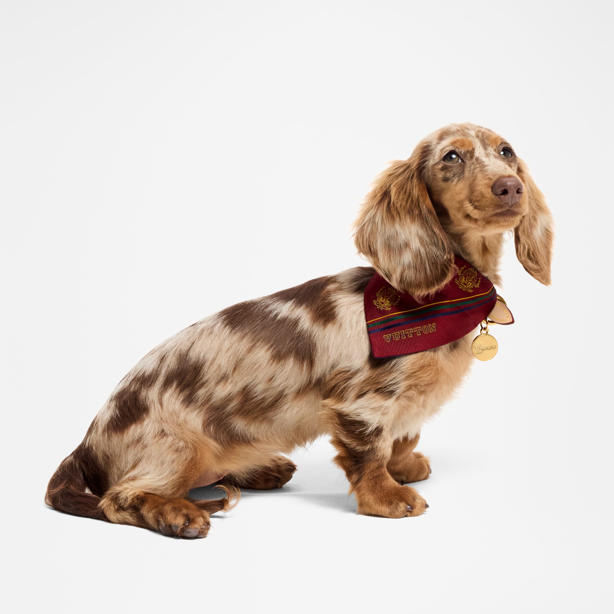  Accesorios de Mascotas } Bandana para perro PM | Louis Vuitton ® (Zoom de producto)
