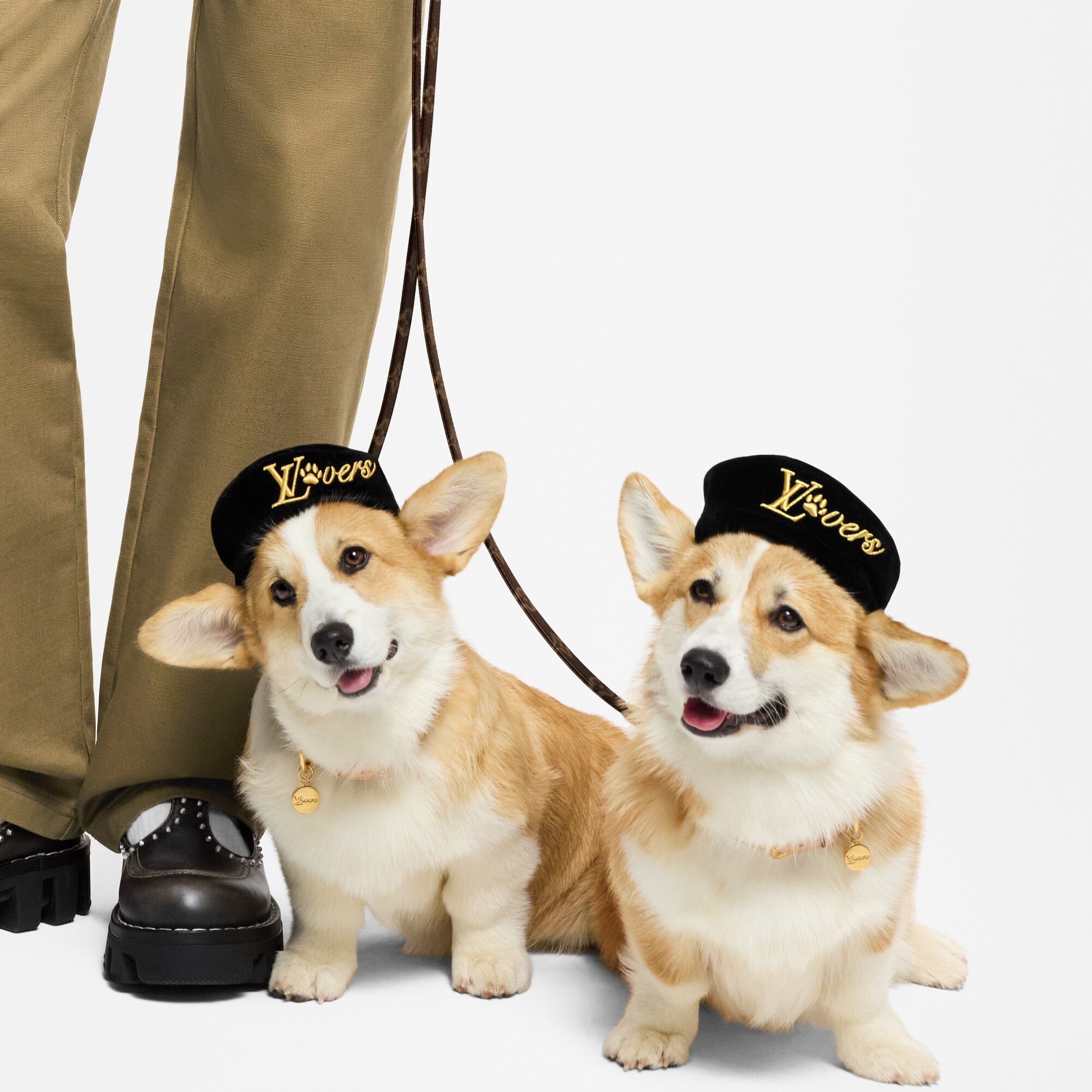 Boina para perro PM  Baúles, Viaje y Hogar Accesorios de Mascotas } | LOUIS VUITTON (Zoom de producto)