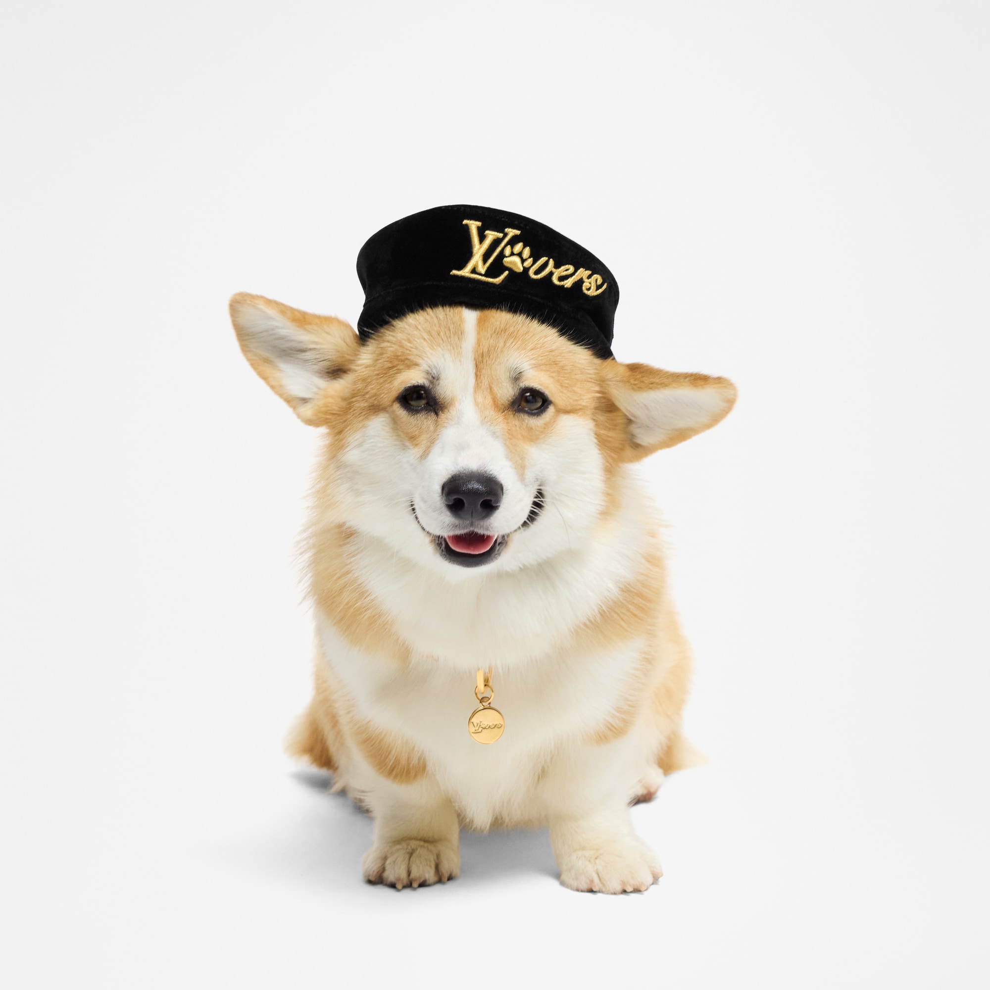 Boina para perro PM  Baúles, Viaje y Hogar Accesorios de Mascotas } | LOUIS VUITTON (Zoom de producto)