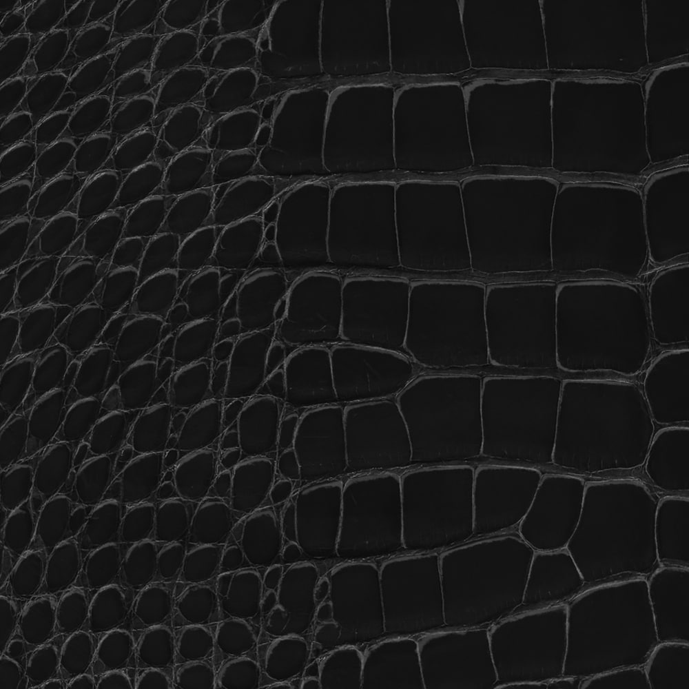 Bolso Capucines MM Mate Crocodilien Les Extraordinaires Personalización  Hidden personalization products | LOUIS VUITTON (Zoom de producto)