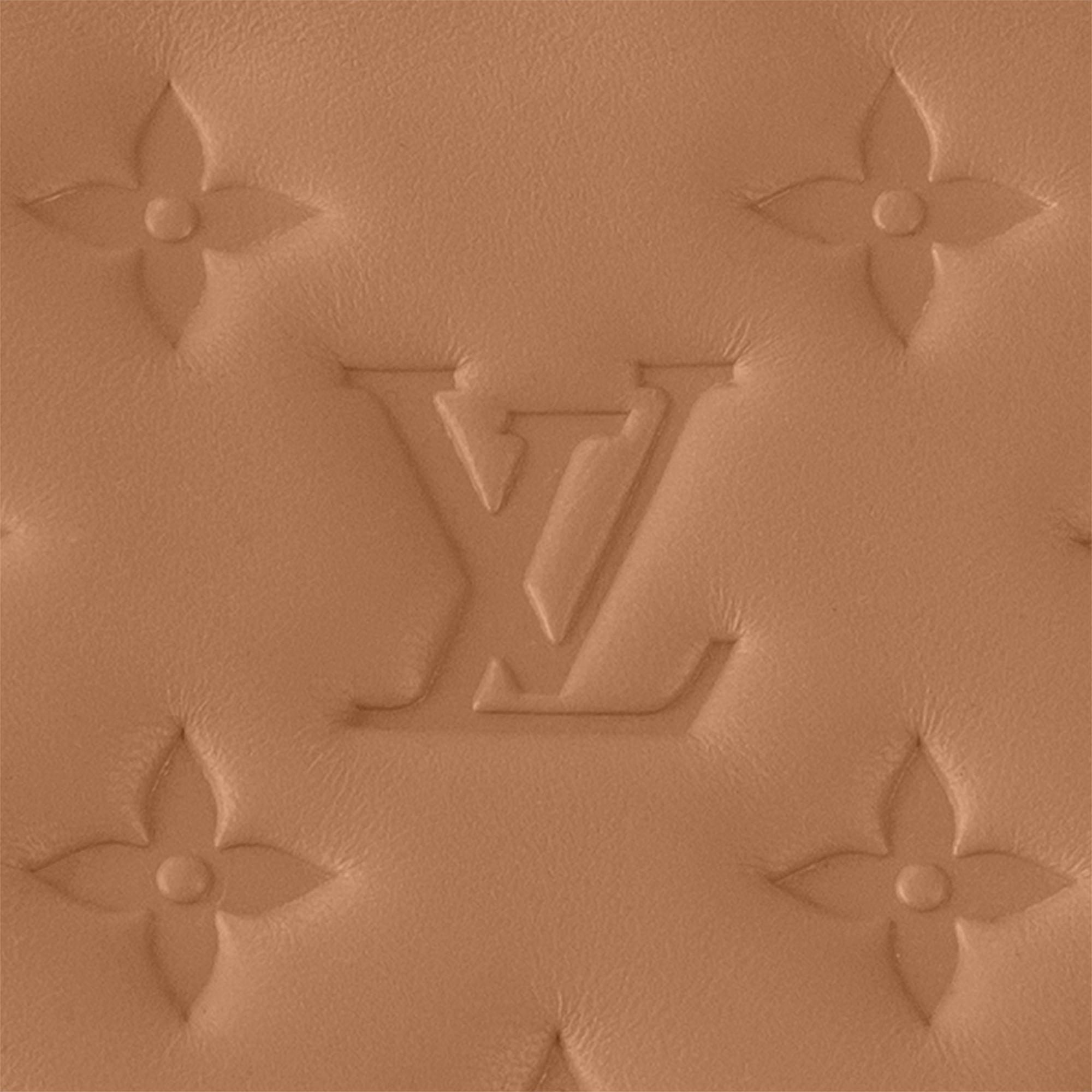 Bolso Coussin PM Coussin Mujer Bolsos Bolsos | LOUIS VUITTON (Zoom de producto)