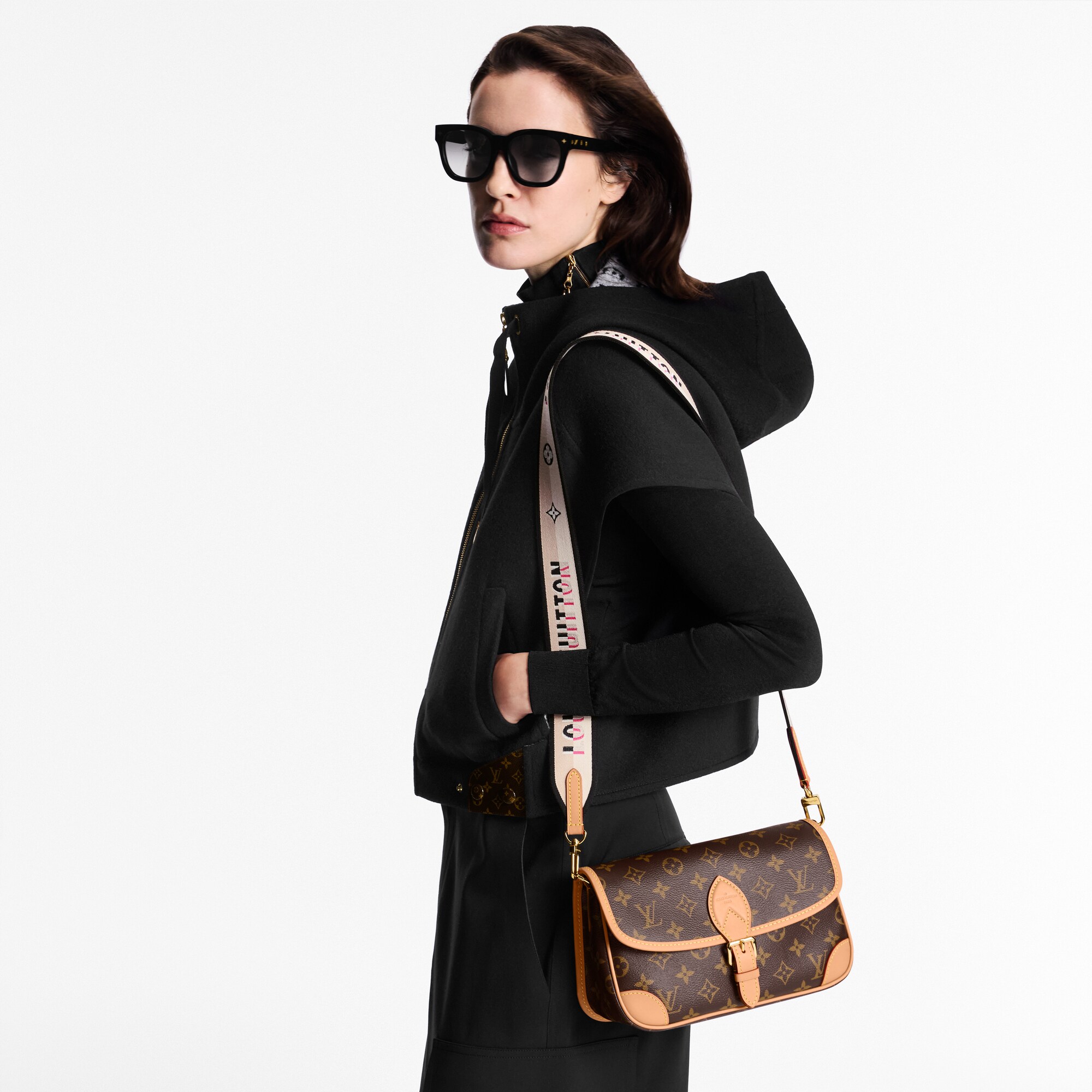 Bolso Diane Lona Monogram Mujer Bolsos Bolsos | LOUIS VUITTON (Zoom de producto)