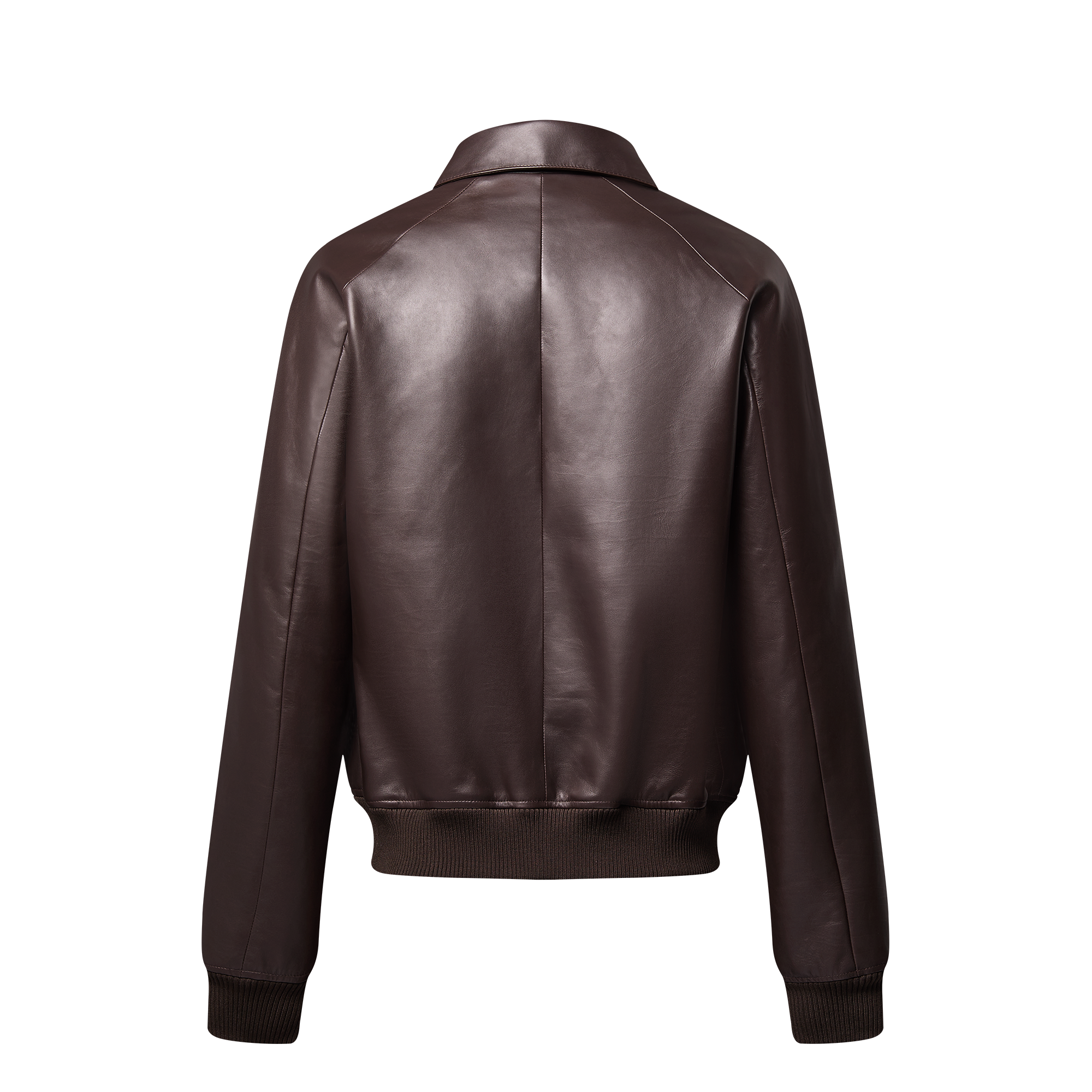 Cazadora bomber de piel  Hombre Prêt-à-Porter Cazadoras y abrigos | LOUIS VUITTON (Zoom de producto)