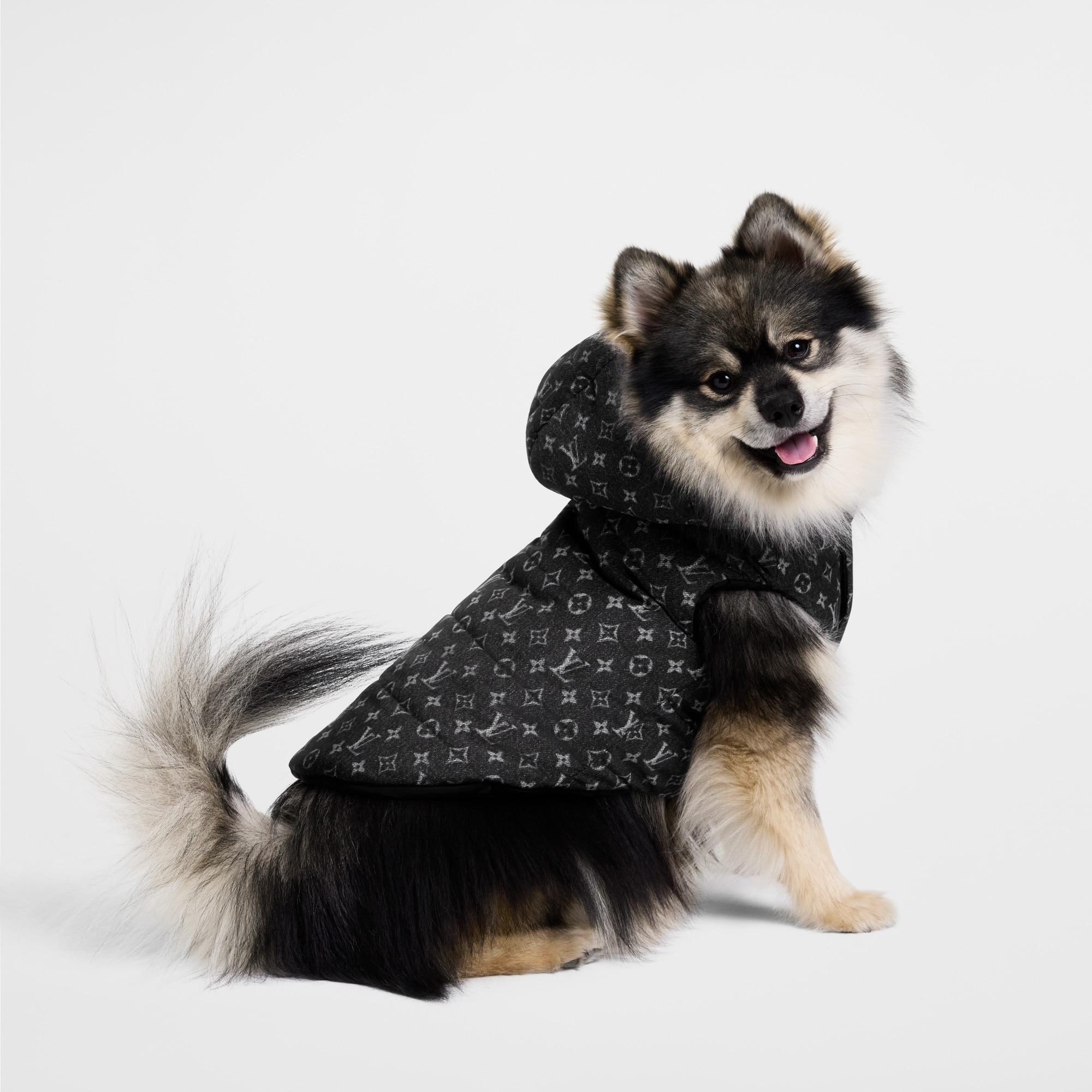 Chaqueta acolchada para perro PM S00 Baúles, Viaje y Hogar Accesorios de Mascotas } | LOUIS VUITTON (Zoom de producto)