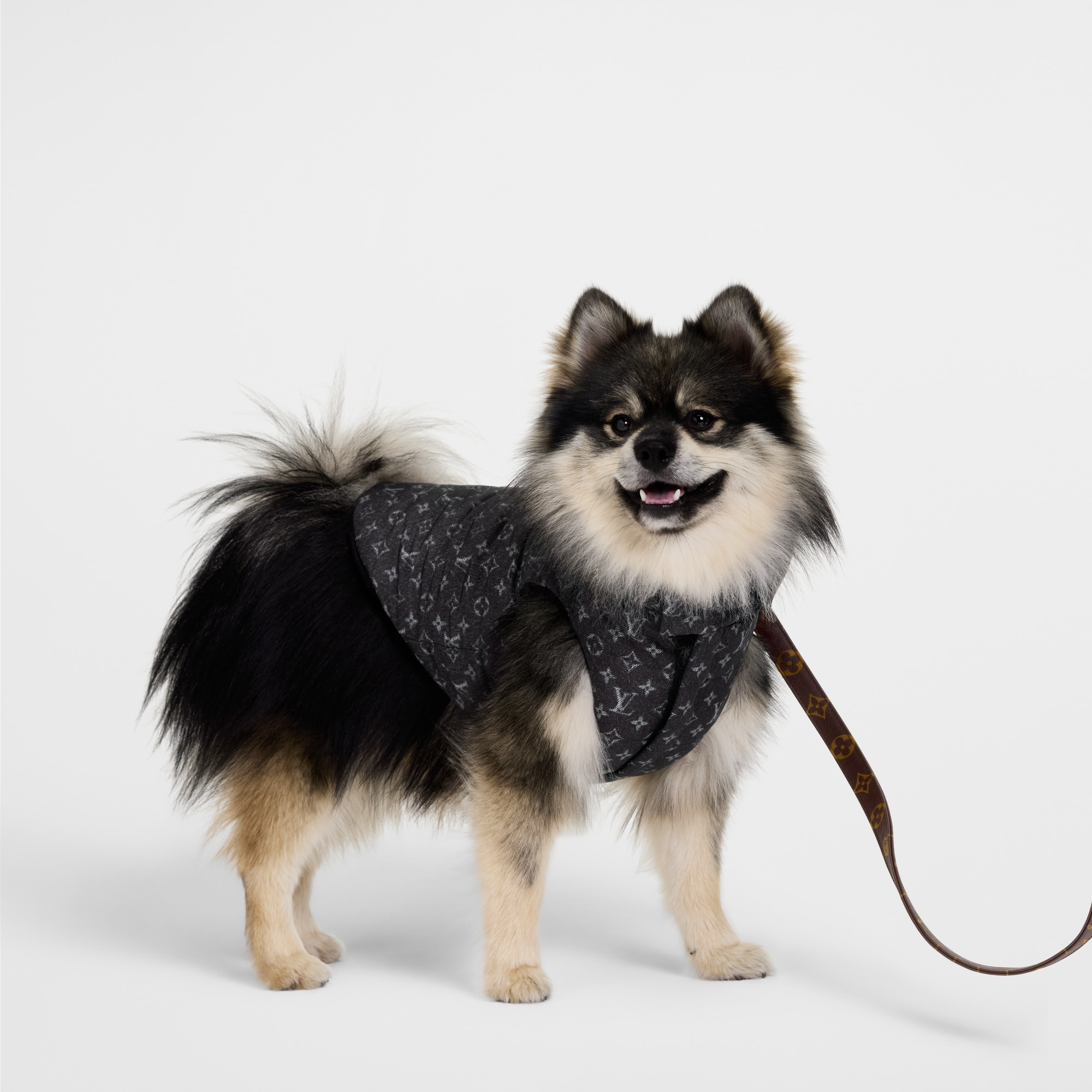 Chaqueta acolchada para perro PM S00 Baúles, Viaje y Hogar Accesorios de Mascotas } | LOUIS VUITTON (Zoom de producto)
