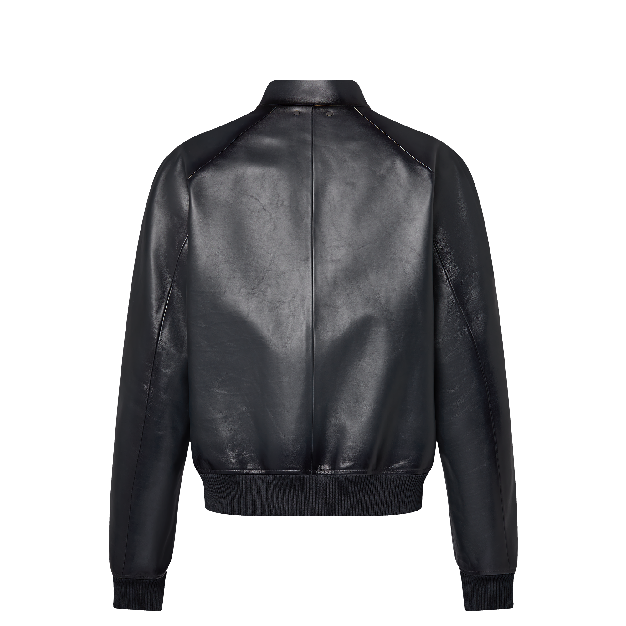 Chaqueta Harrington de piel  Hombre Prêt-à-Porter Cazadoras y abrigos | LOUIS VUITTON (Zoom de producto)