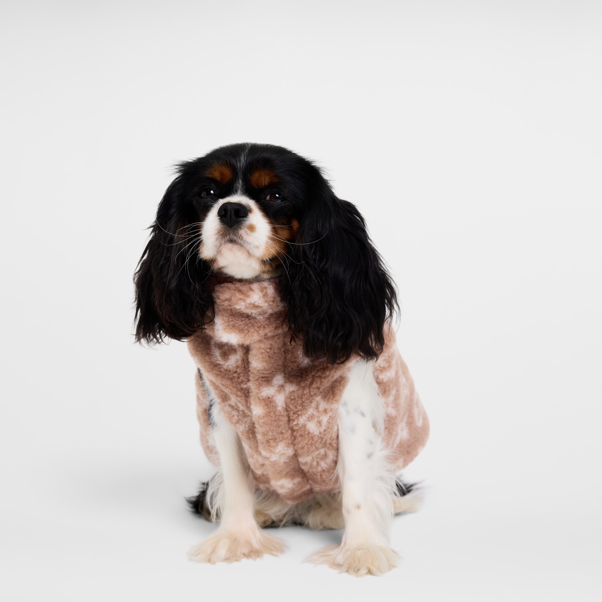 Chaqueta polar para perro PM S00 Baúles, Viaje y Hogar Accesorios de Mascotas } | LOUIS VUITTON (Zoom de producto)