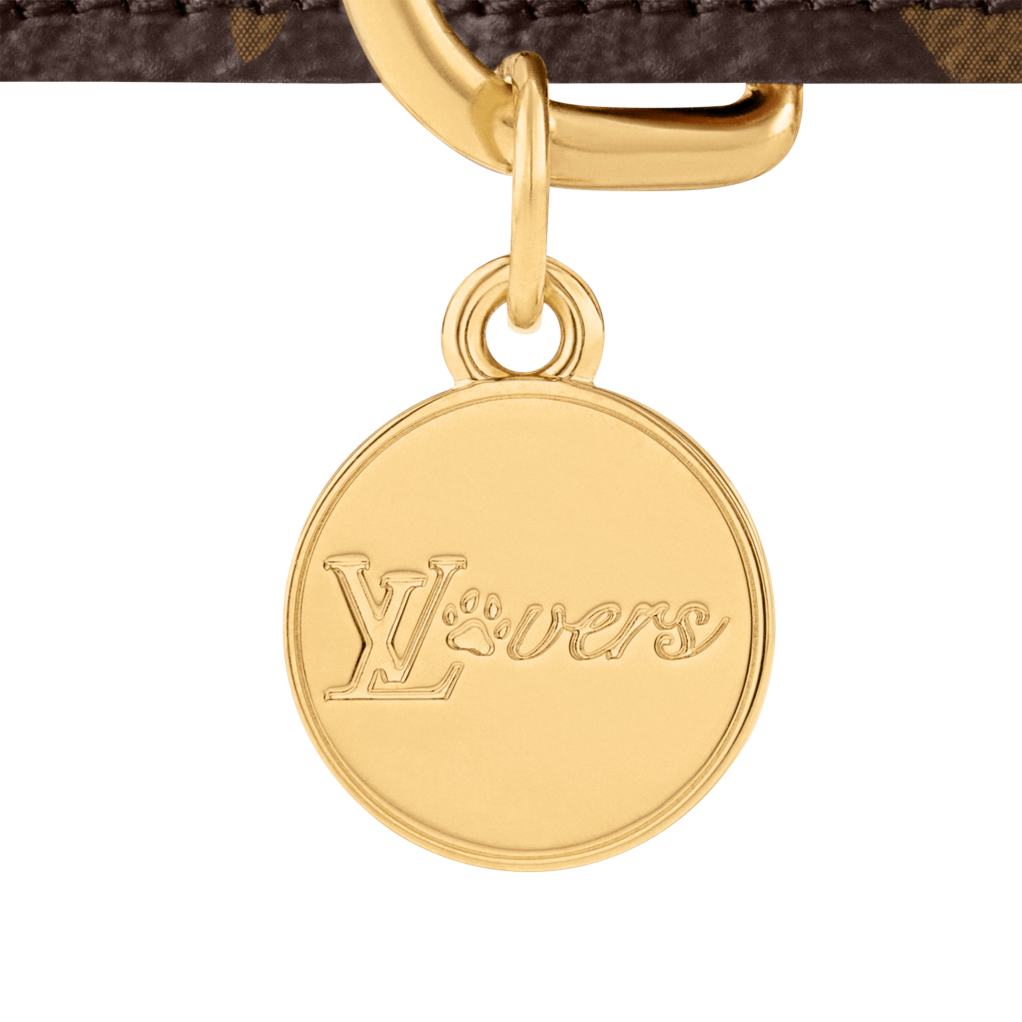 Collar para perro MM  Baúles, Viaje y Hogar Accesorios de Mascotas } | LOUIS VUITTON (Zoom de producto)