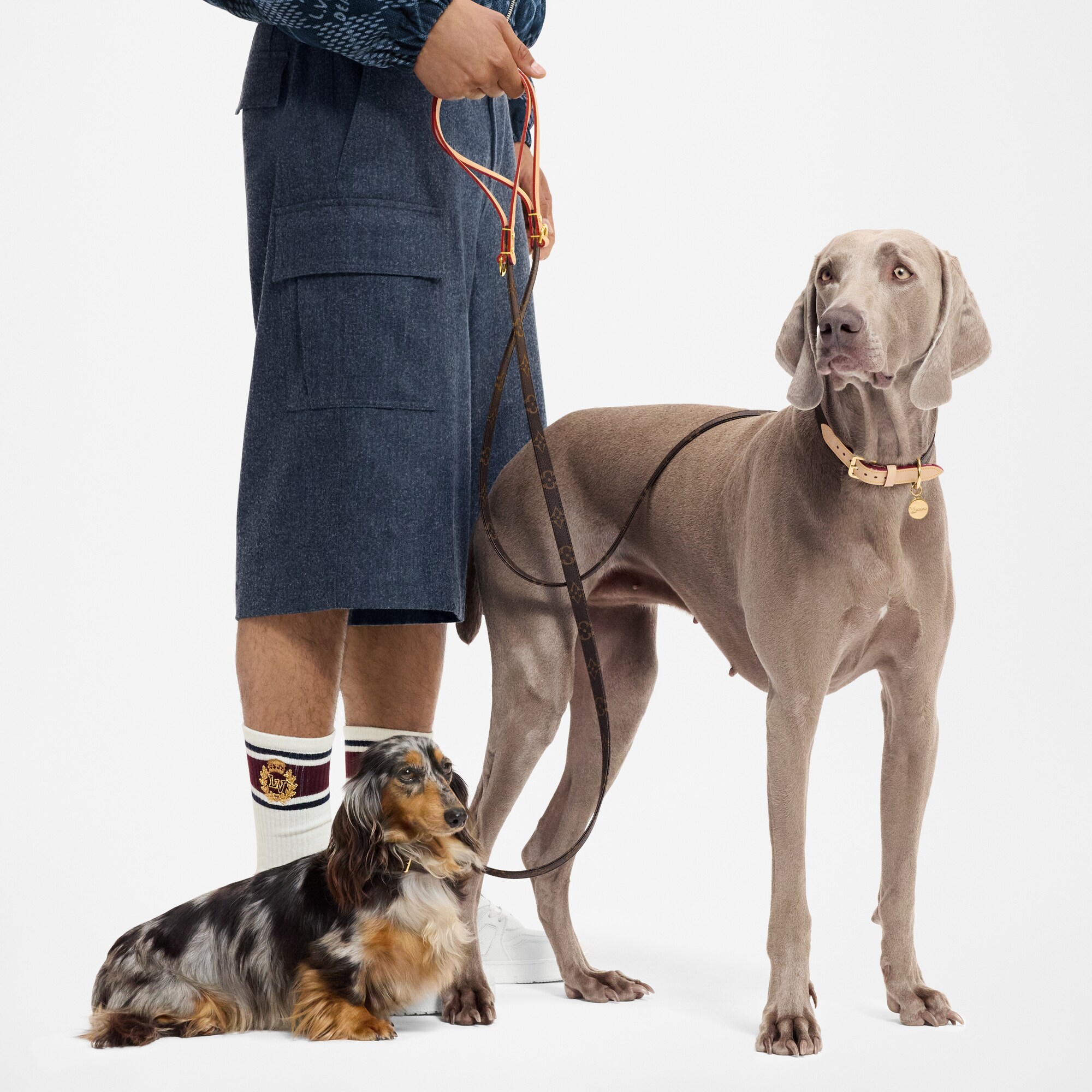 Correa para perro PM  Baúles, Viaje y Hogar Accesorios de Mascotas } | LOUIS VUITTON (Zoom de producto)