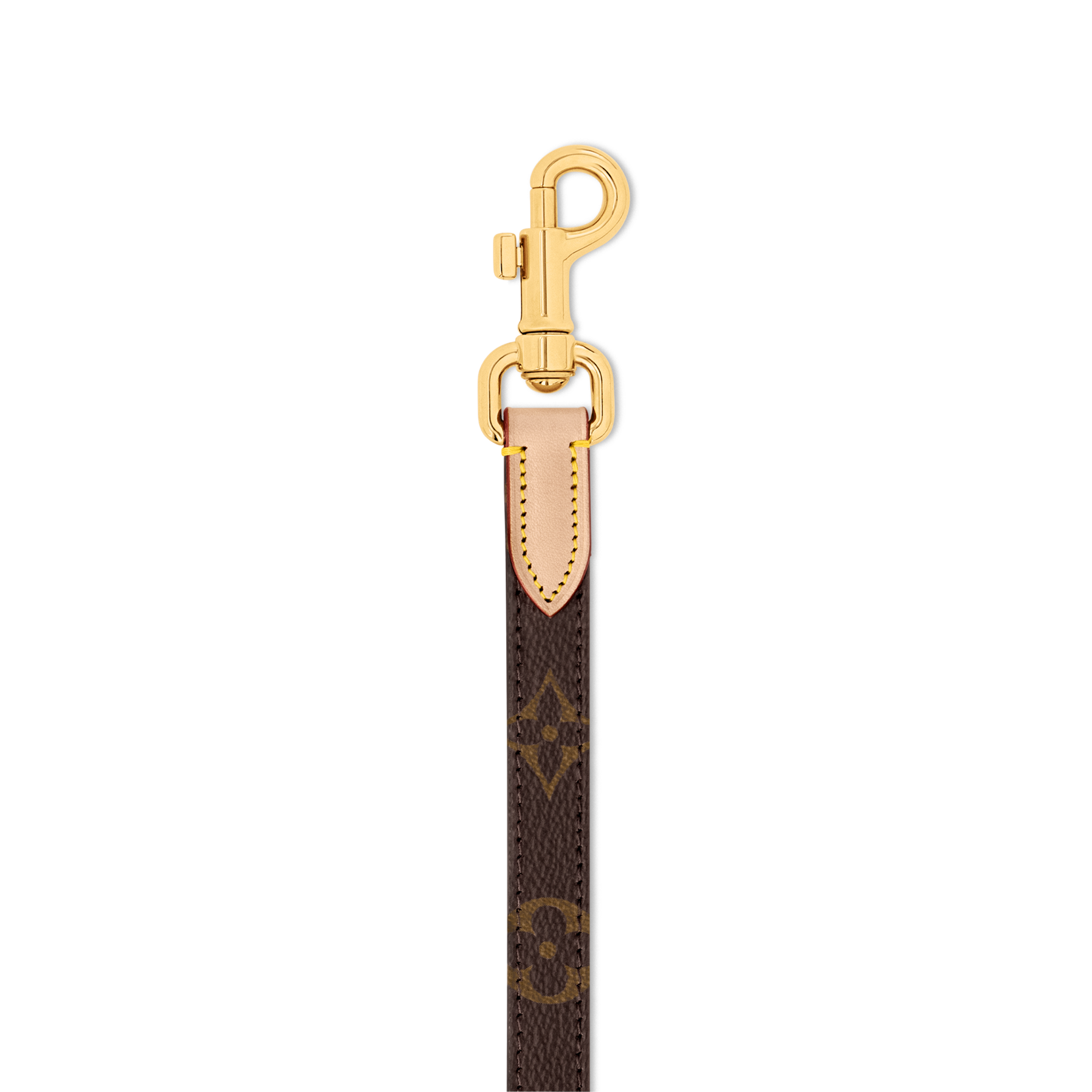 Correa para perro PM  Baúles, Viaje y Hogar Accesorios de Mascotas } | LOUIS VUITTON (Zoom de producto)