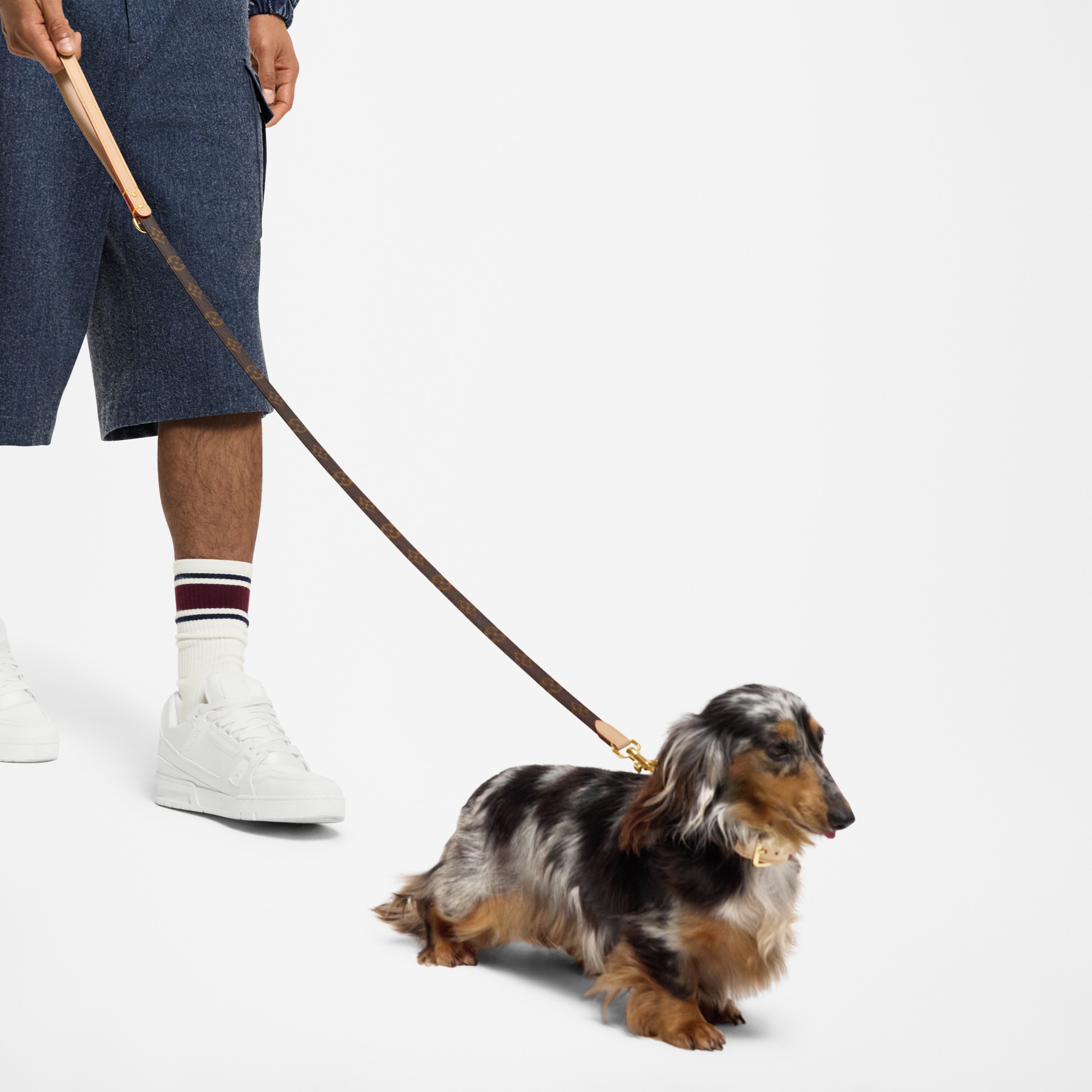 Correa para perro PM  Baúles, Viaje y Hogar Accesorios de Mascotas } | LOUIS VUITTON (Zoom de producto)