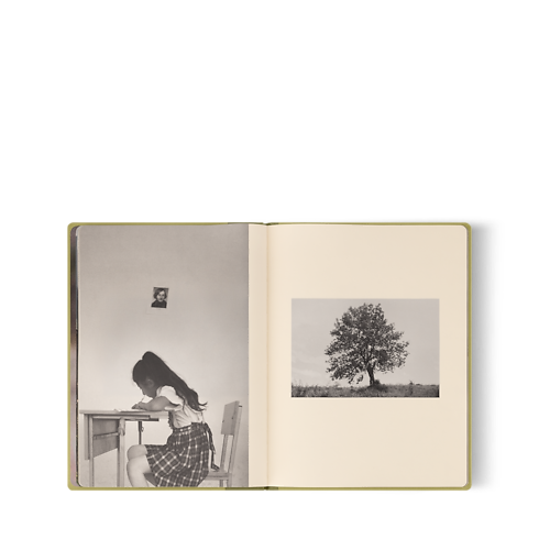 Fashion Eye Armenia Baúles, Viaje y Hogar Libros Fashion Eye | LOUIS VUITTON (Zoom de producto)