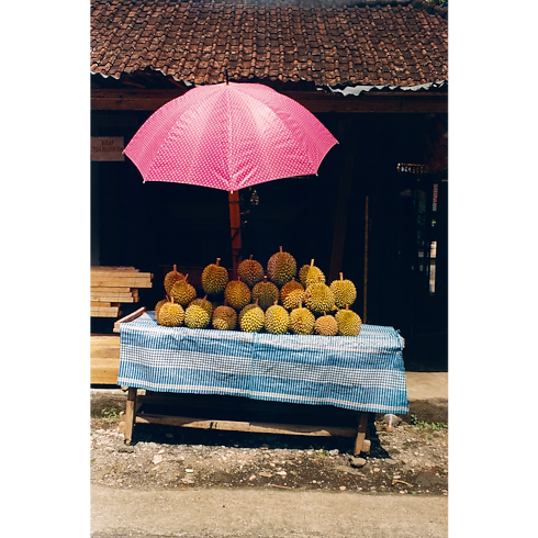 Fashion Eye Bali Baúles, Viaje y Hogar Libros Fashion Eye | LOUIS VUITTON (Zoom de producto)