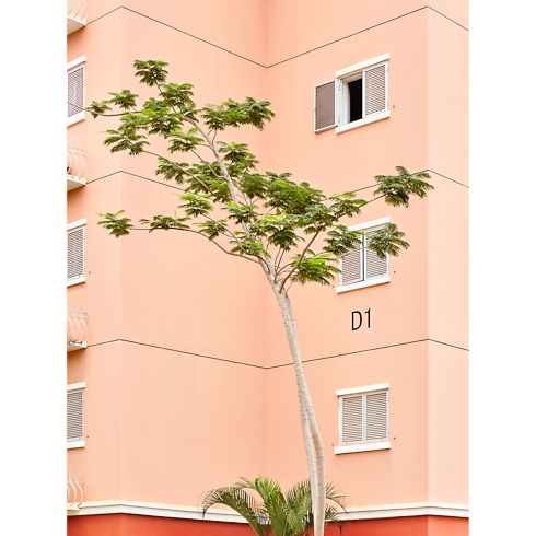 Fashion Eye Kilamba Baúles, Viaje y Hogar Libros Fashion Eye | LOUIS VUITTON (Zoom de producto)