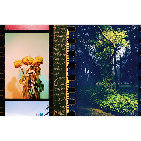 Fashion Eye São Paulo Baúles, Viaje y Hogar Libros Fashion Eye | LOUIS VUITTON (Zoom de producto)