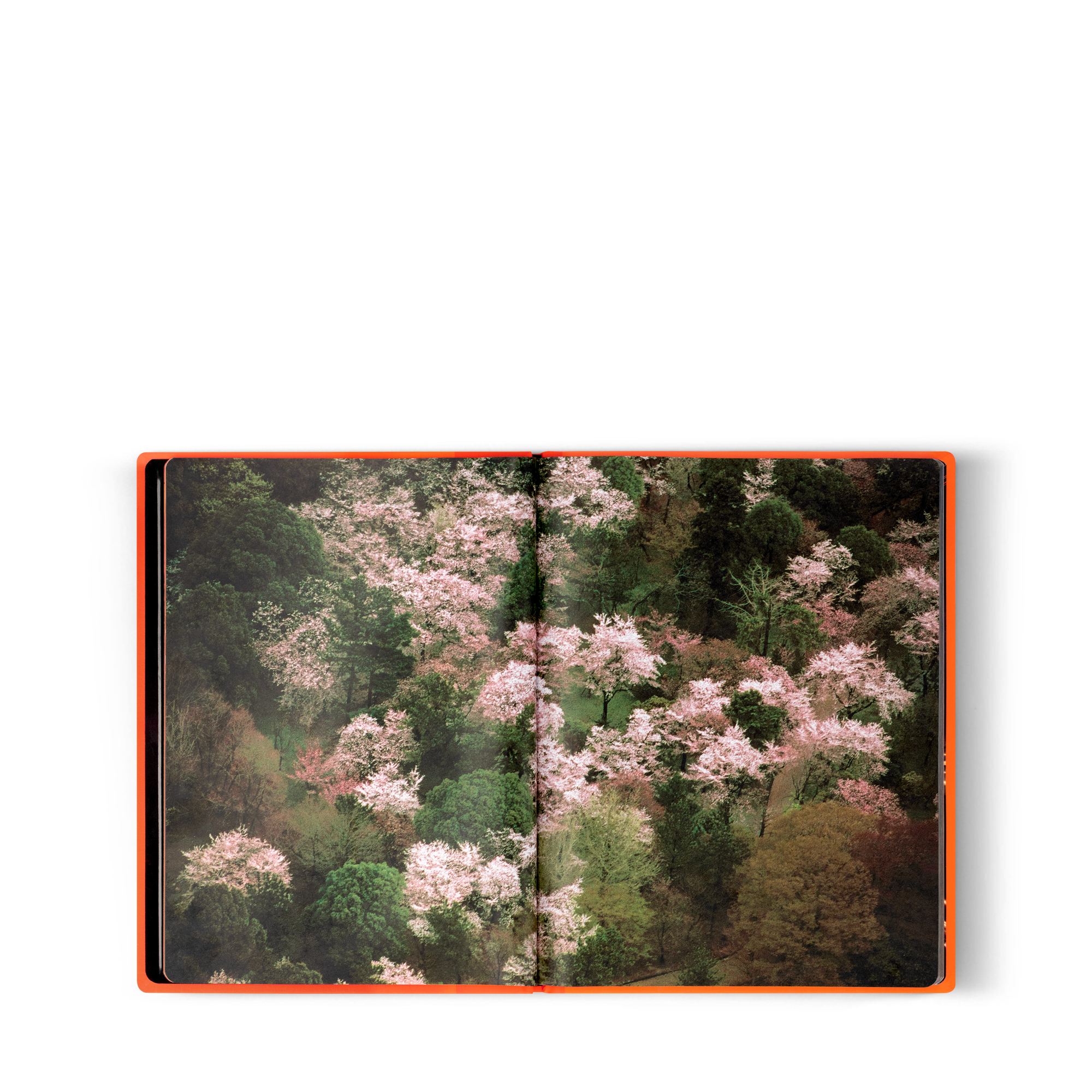 Fashion Eye Silk Road  Baúles, Viaje y Hogar Libros Fashion Eye | LOUIS VUITTON (Zoom de producto)