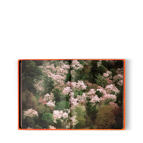 Fashion Eye Silk Road Baúles, Viaje y Hogar Libros Fashion Eye | LOUIS VUITTON (Zoom de producto)