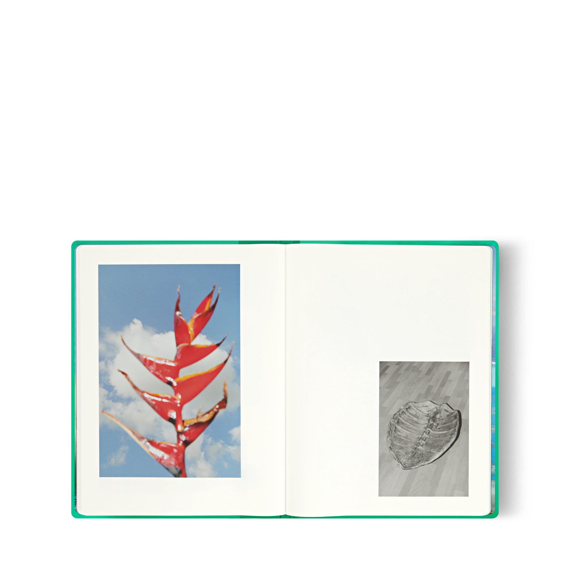 Fashion Eye Tahiti, por Jonathan Llense  Baúles, Viaje y Hogar Libros Fashion Eye | LOUIS VUITTON (Zoom de producto)