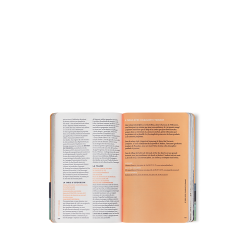 Guía de la ciudad de Arlés, versión francesa Baúles, Viaje y Hogar Libros Guía de ciudad | LOUIS VUITTON (Zoom de producto)