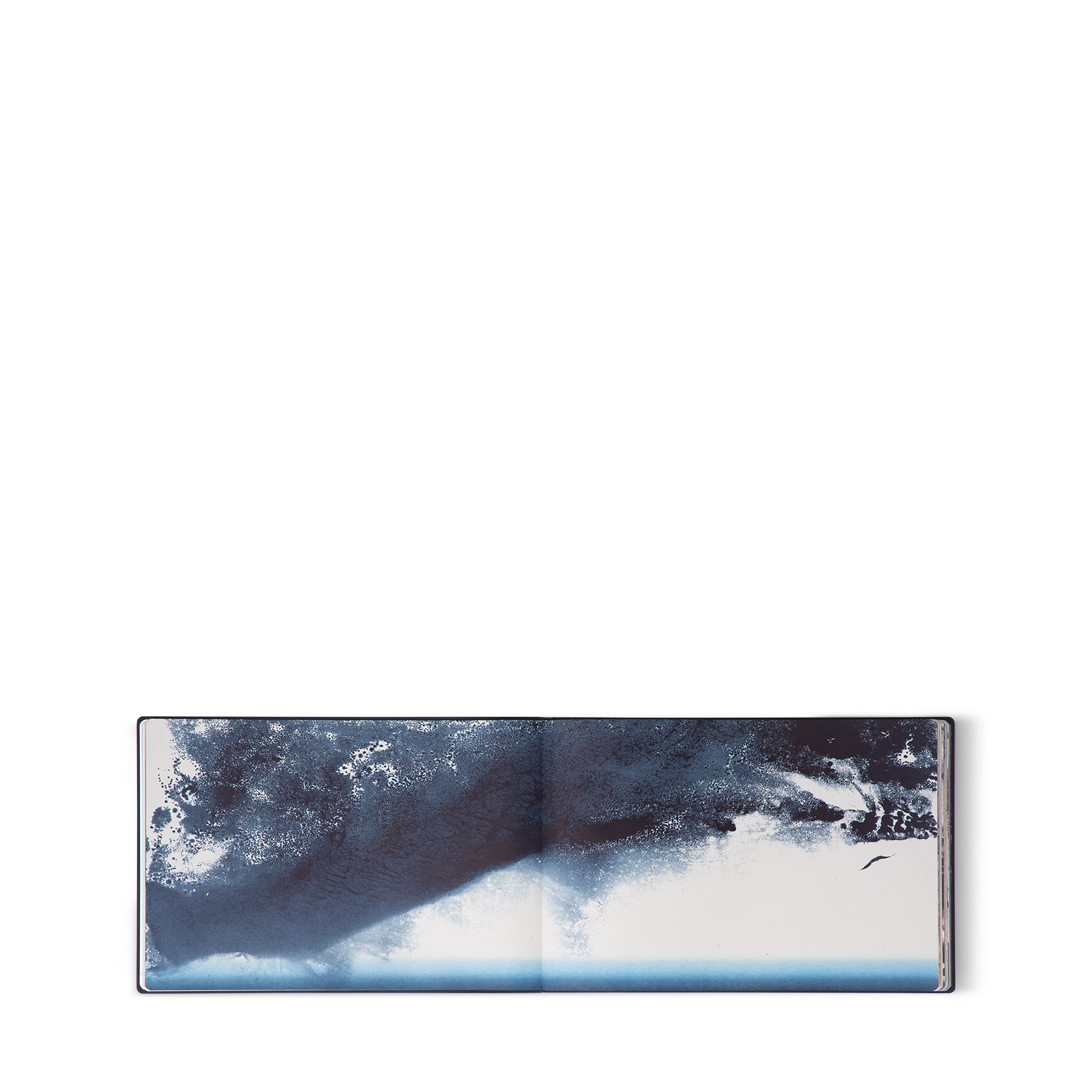 undefined (Zoom de producto)