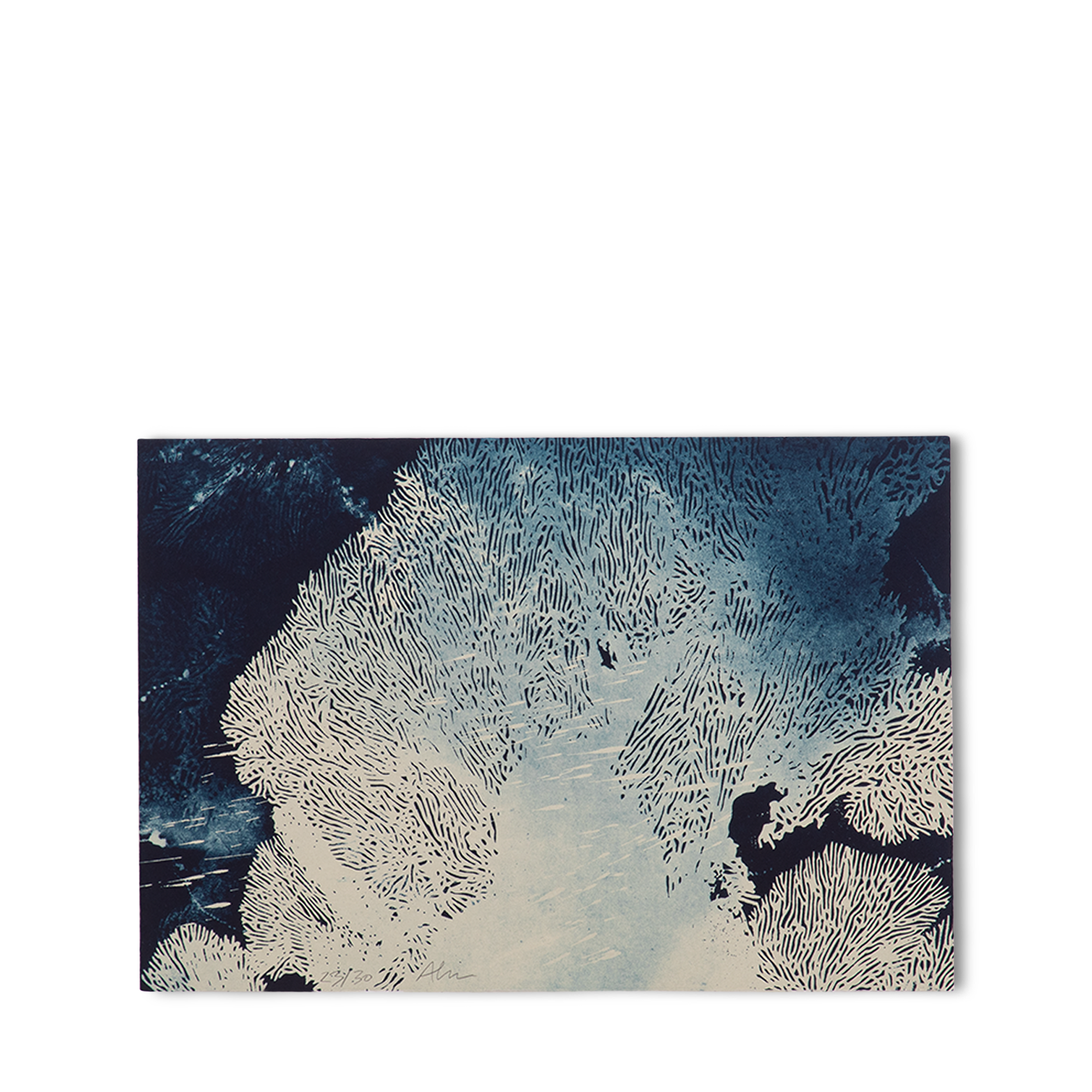 undefined (Zoom de producto)