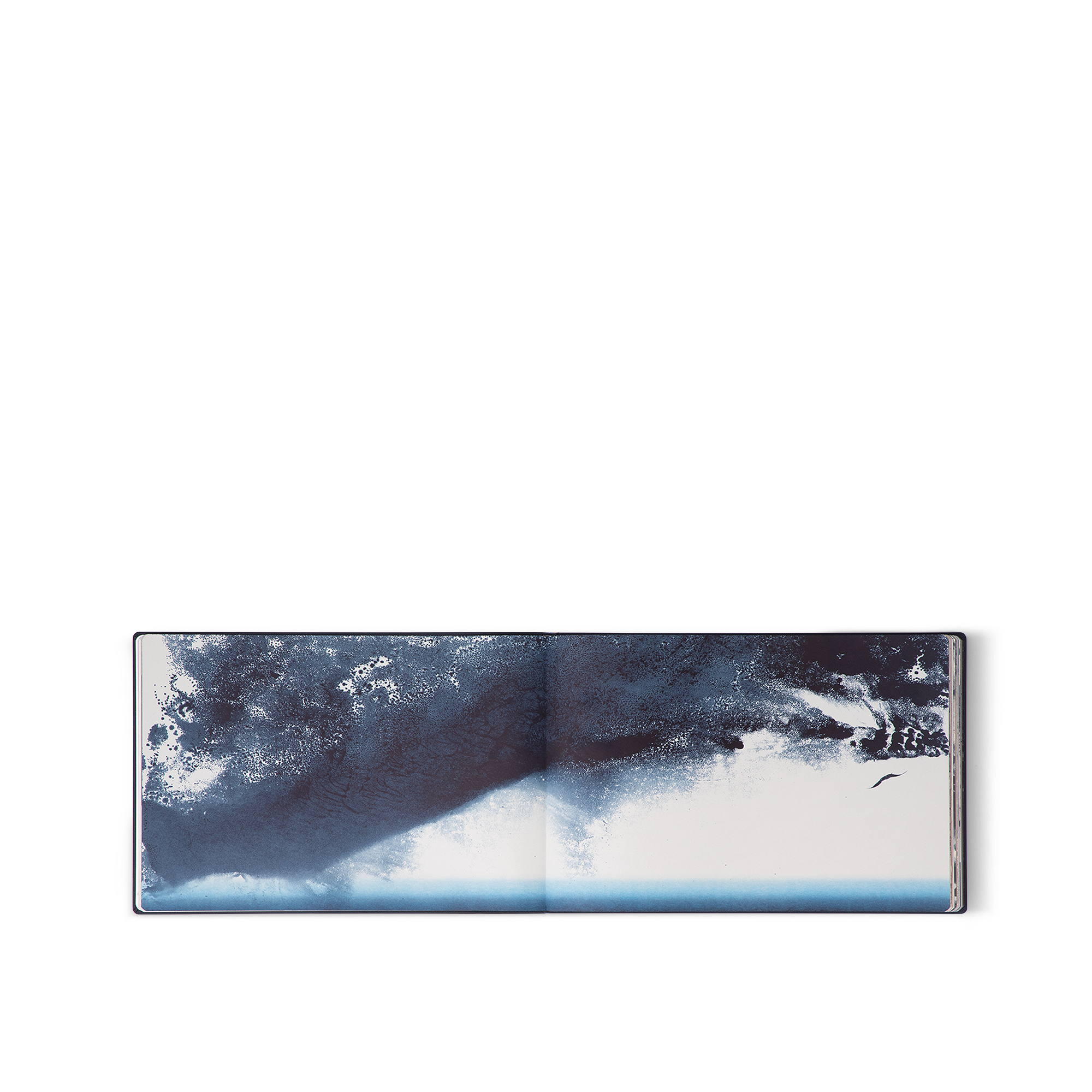 undefined (Zoom de producto)