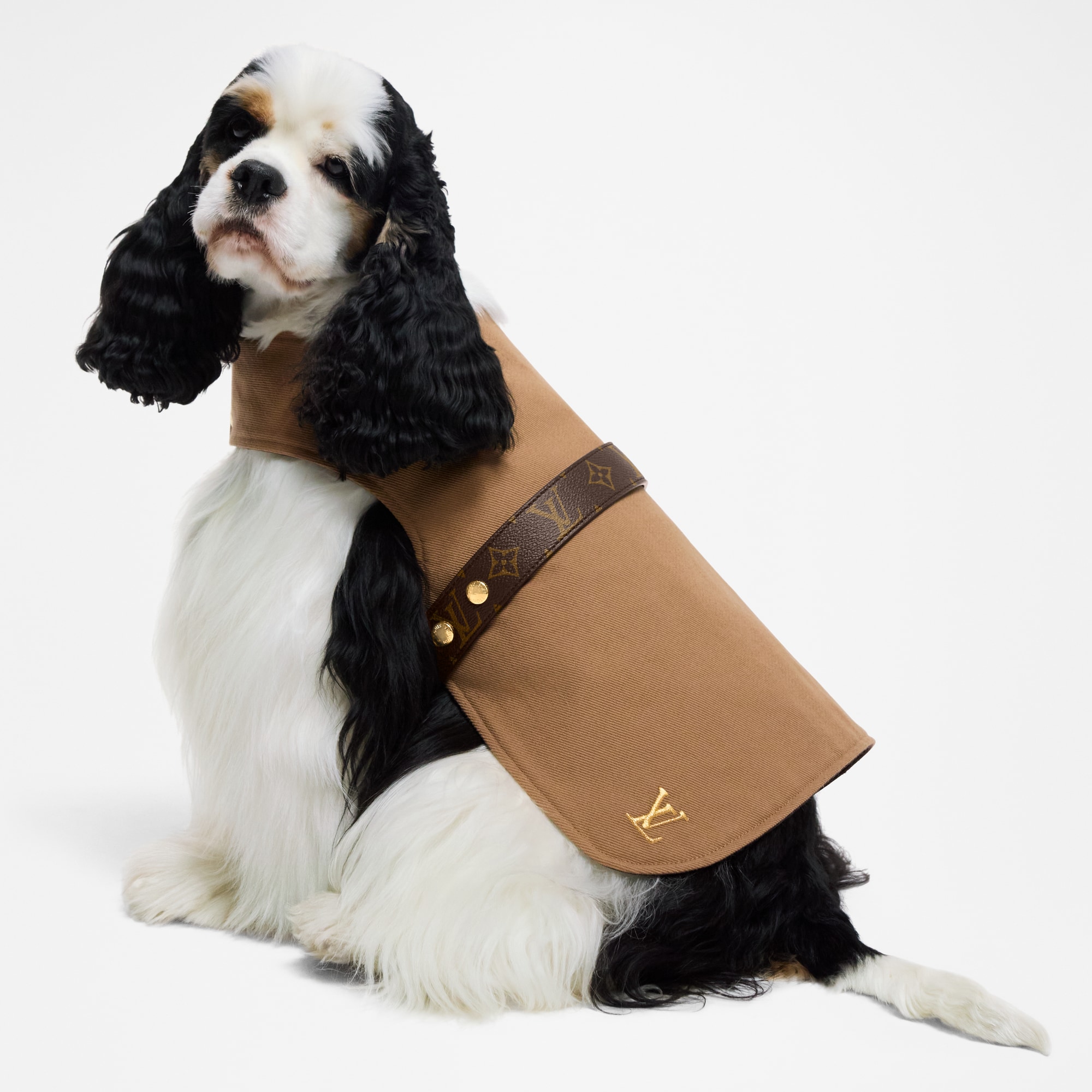 Impermeable para perro MM  Baúles, Viaje y Hogar Accesorios de Mascotas } | LOUIS VUITTON (Zoom de producto)