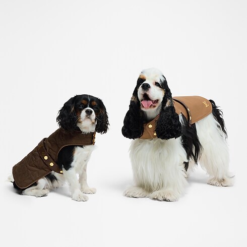 Impermeable para perro PM Baúles, Viaje y Hogar Accesorios de Mascotas } | LOUIS VUITTON (Zoom de producto)