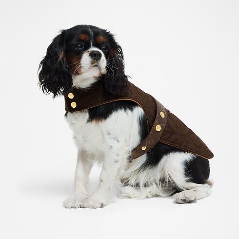 Impermeable para perro PM Baúles, Viaje y Hogar Accesorios de Mascotas } | LOUIS VUITTON (Zoom de producto)