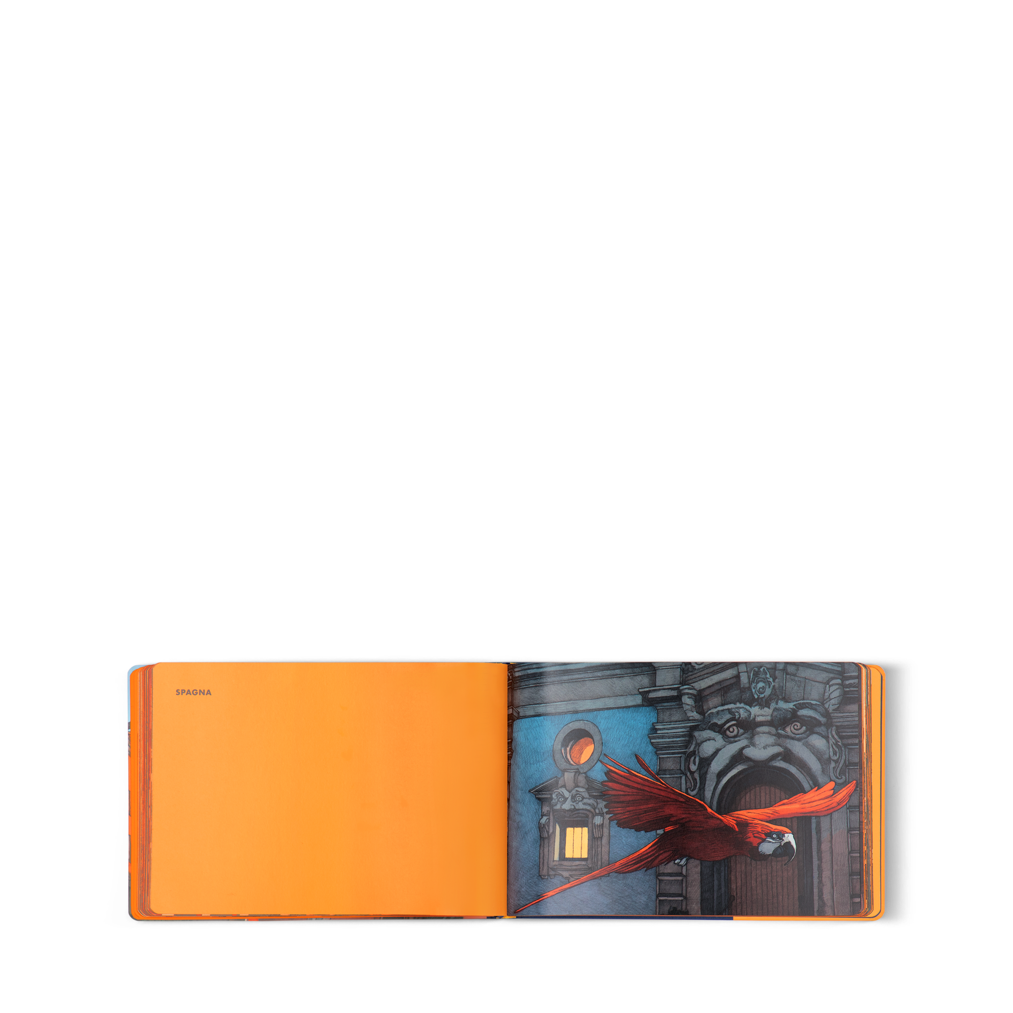 undefined (Zoom de producto)