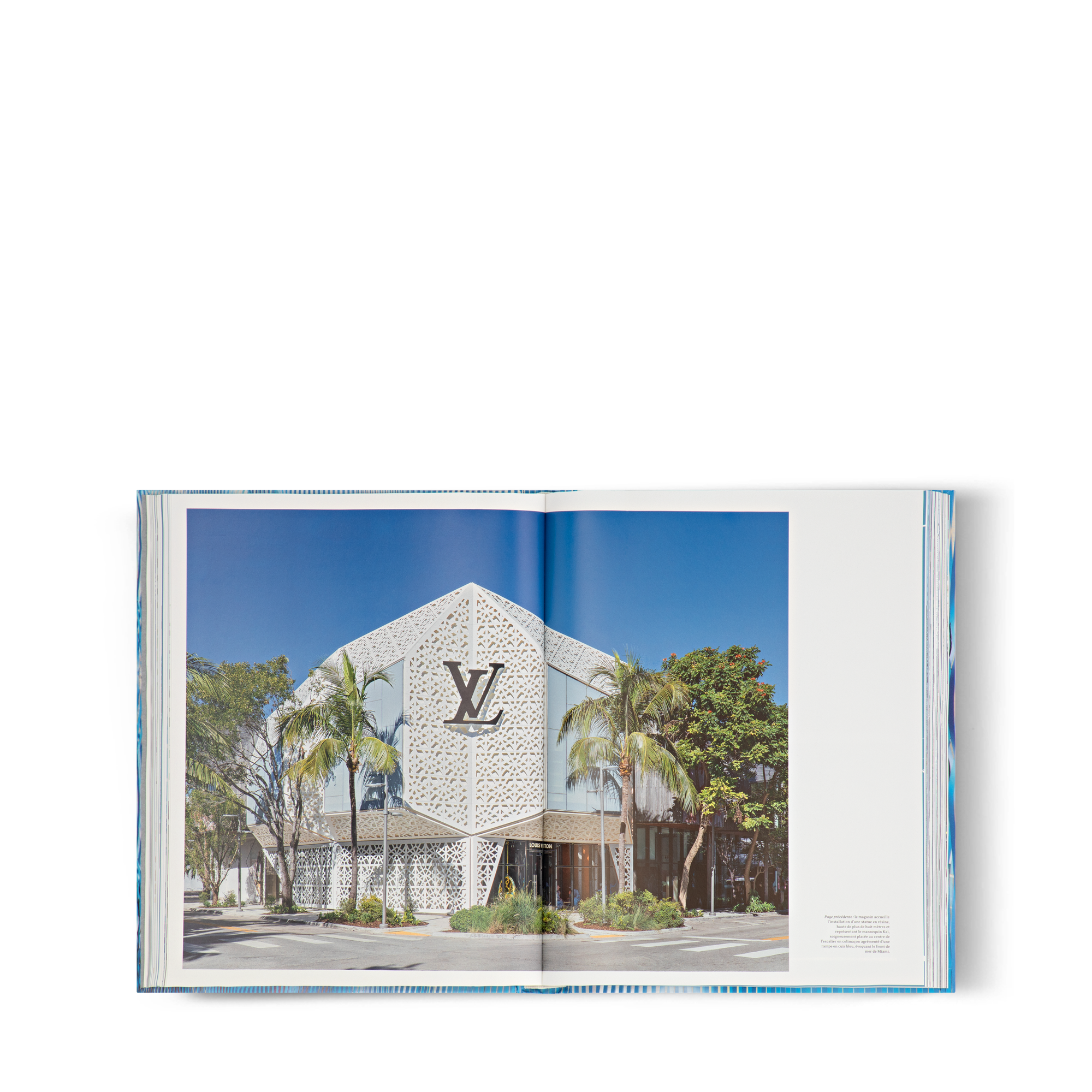 Libro Louis Vuitton Skin: Architecture Of Luxury  Baúles, Viaje y Hogar Libros Libros de tapa dura | LOUIS VUITTON (Zoom de producto)