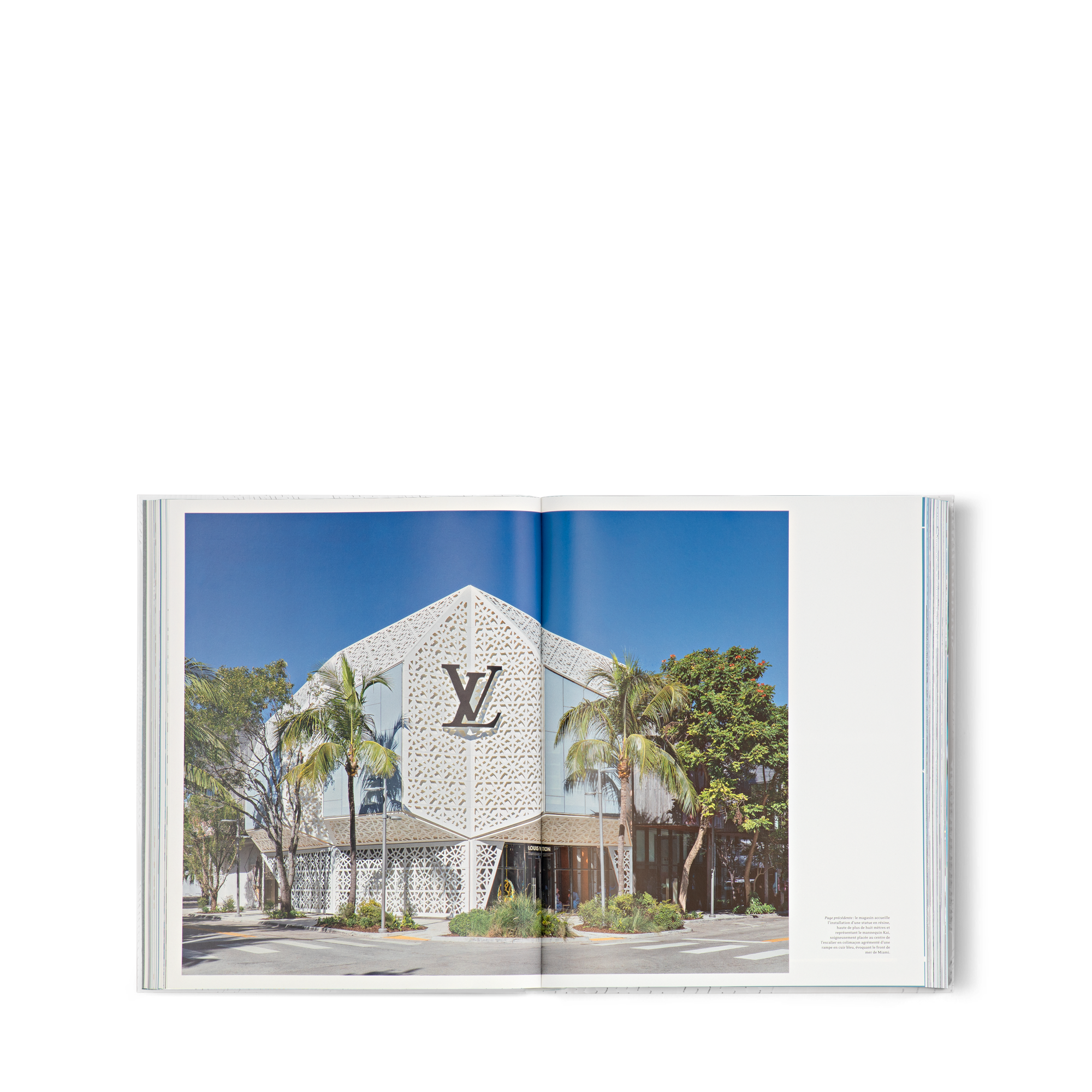 Louis Vuitton Skin: Architecture of Luxury Ciudad de Nueva York  Baúles, Viaje y Hogar Libros Libros de tapa dura | LOUIS VUITTON (Zoom de producto)