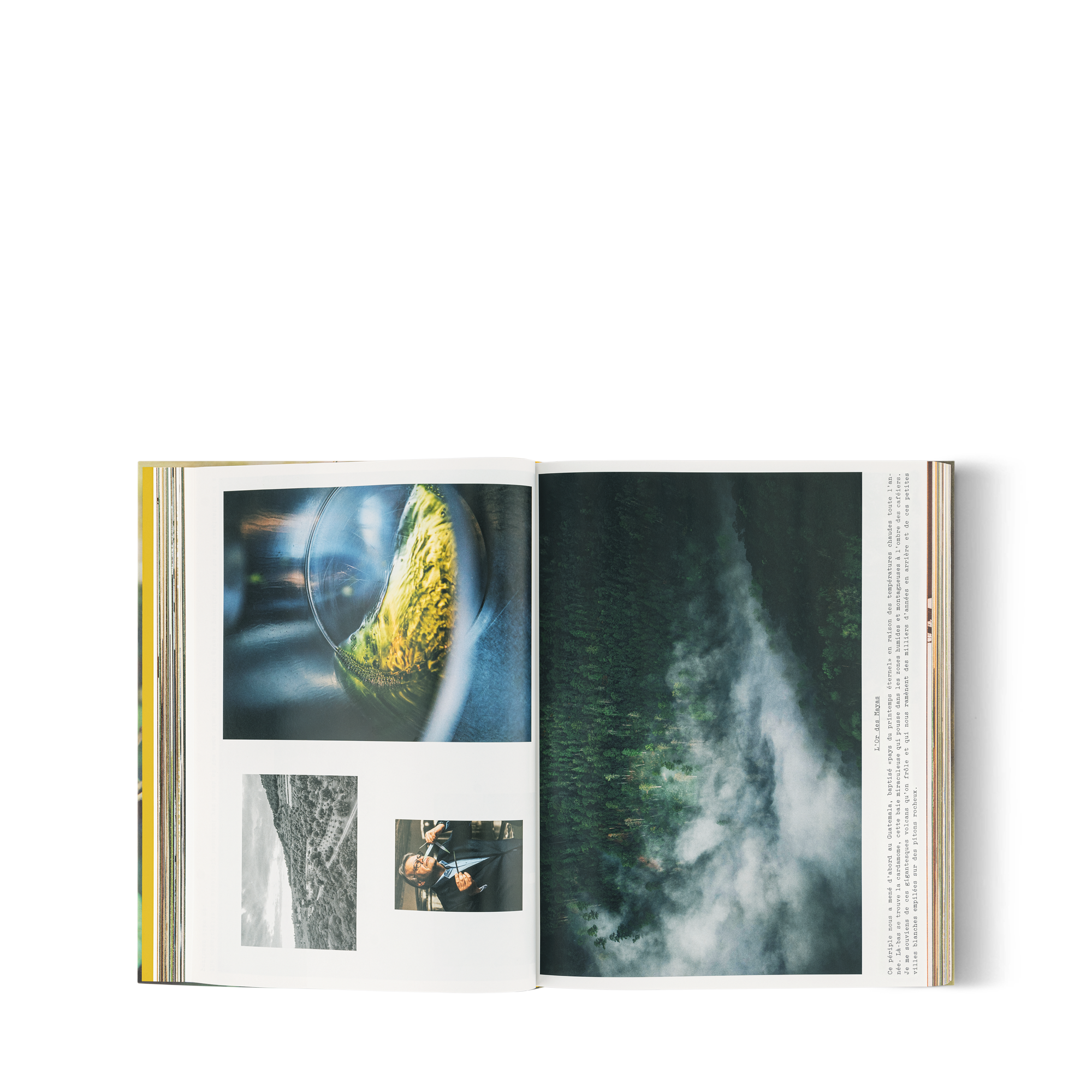 Louis Vuitton: A Perfume Atlas, versión francesa  Baúles, Viaje y Hogar Libros Libros de tapa dura | LOUIS VUITTON (Zoom de producto)