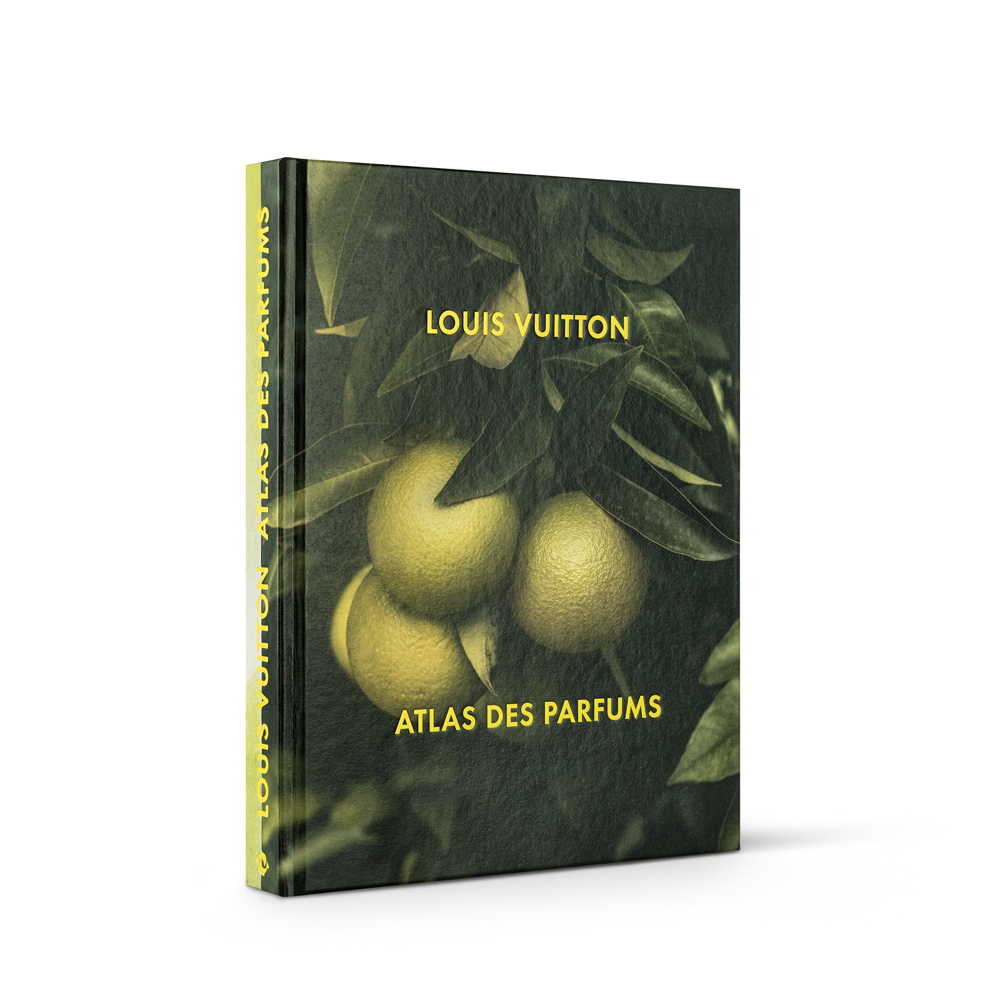 Louis Vuitton: A Perfume Atlas, versión francesa  Baúles, Viaje y Hogar Libros Libros de tapa dura | LOUIS VUITTON (Zoom de producto)