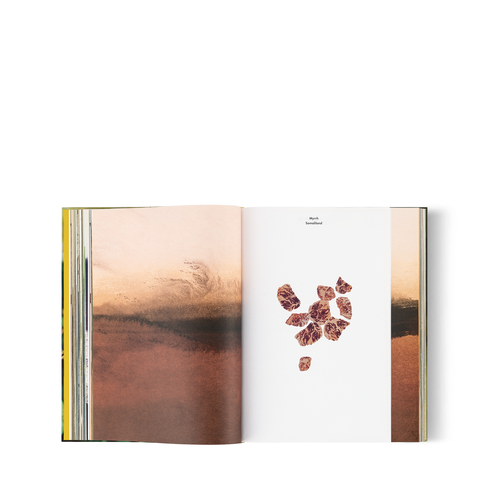 Louis Vuitton: A Perfume Atlas, versión inglesa  Baúles, Viaje y Hogar Libros Libros de tapa dura | LOUIS VUITTON (Zoom de producto)