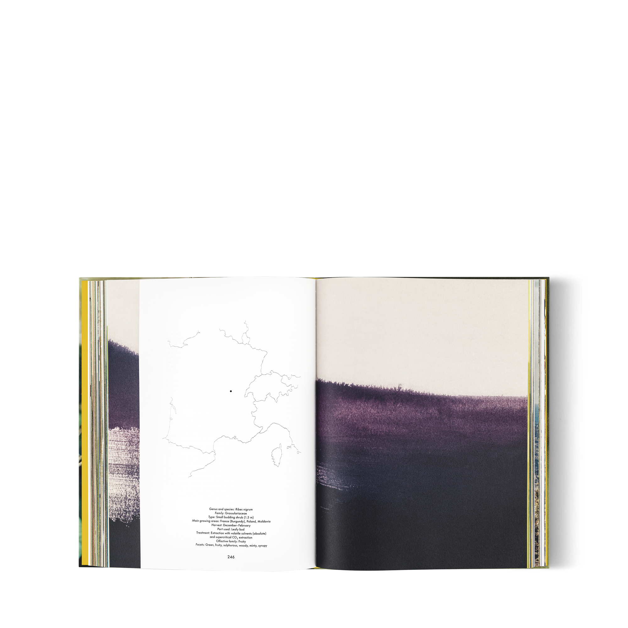 Louis Vuitton: A Perfume Atlas, versión inglesa  Baúles, Viaje y Hogar Libros Libros de tapa dura | LOUIS VUITTON (Zoom de producto)