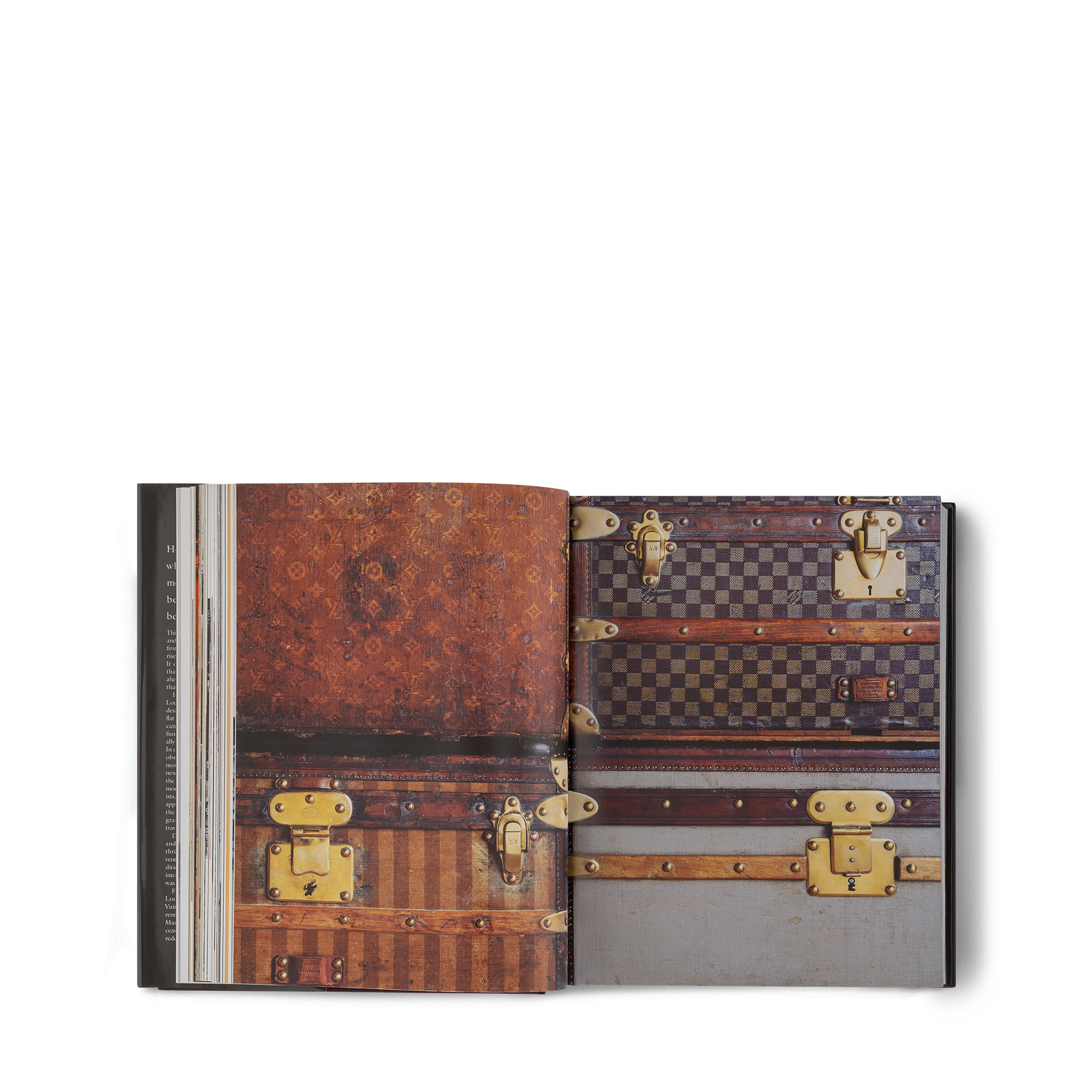 Louis Vuitton: The Birth of Modern Luxury  Baúles, Viaje y Hogar Libros Libros de tapa dura | LOUIS VUITTON (Zoom de producto)
