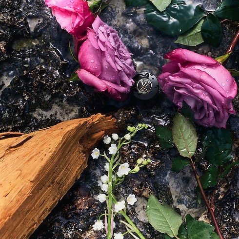 Perfume eLVes Louis Vuitton Perfumes y Beauty Todos los perfumes } | LOUIS VUITTON (Zoom de producto)