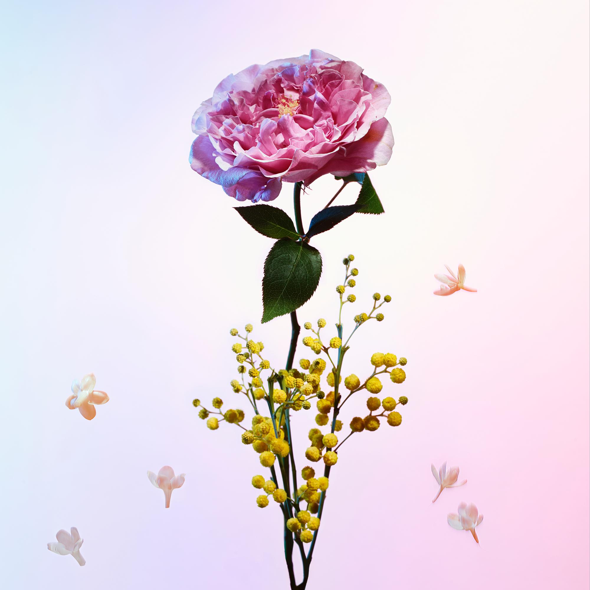 Perfume Heures d