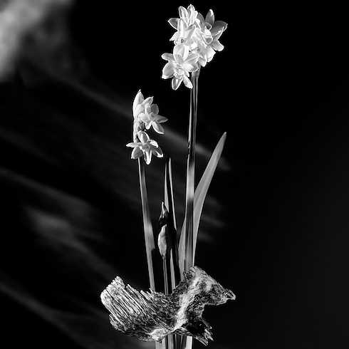 Perfume Matière Noire Perfumes y Beauty Colecciones Perfumes femeninos | LOUIS VUITTON (Zoom de producto)