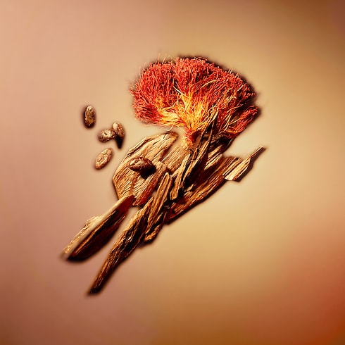 Perfume Nouveau Monde Perfumes y Beauty Colecciones Perfumes masculinos | LOUIS VUITTON (Zoom de producto)