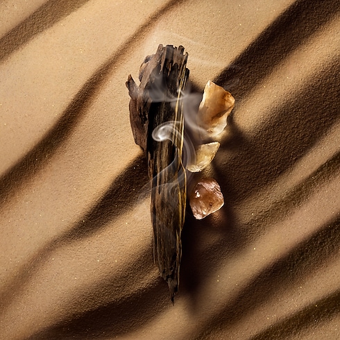 Perfume Ombre Nomade Perfumes y Beauty Colecciones Perfumes Orientales | LOUIS VUITTON (Zoom de producto)