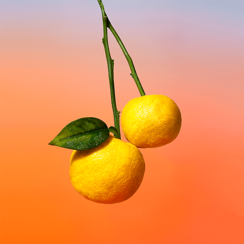 Perfume On the Beach Perfumes y Beauty Colecciones Perfumes masculinos | LOUIS VUITTON (Zoom de producto)