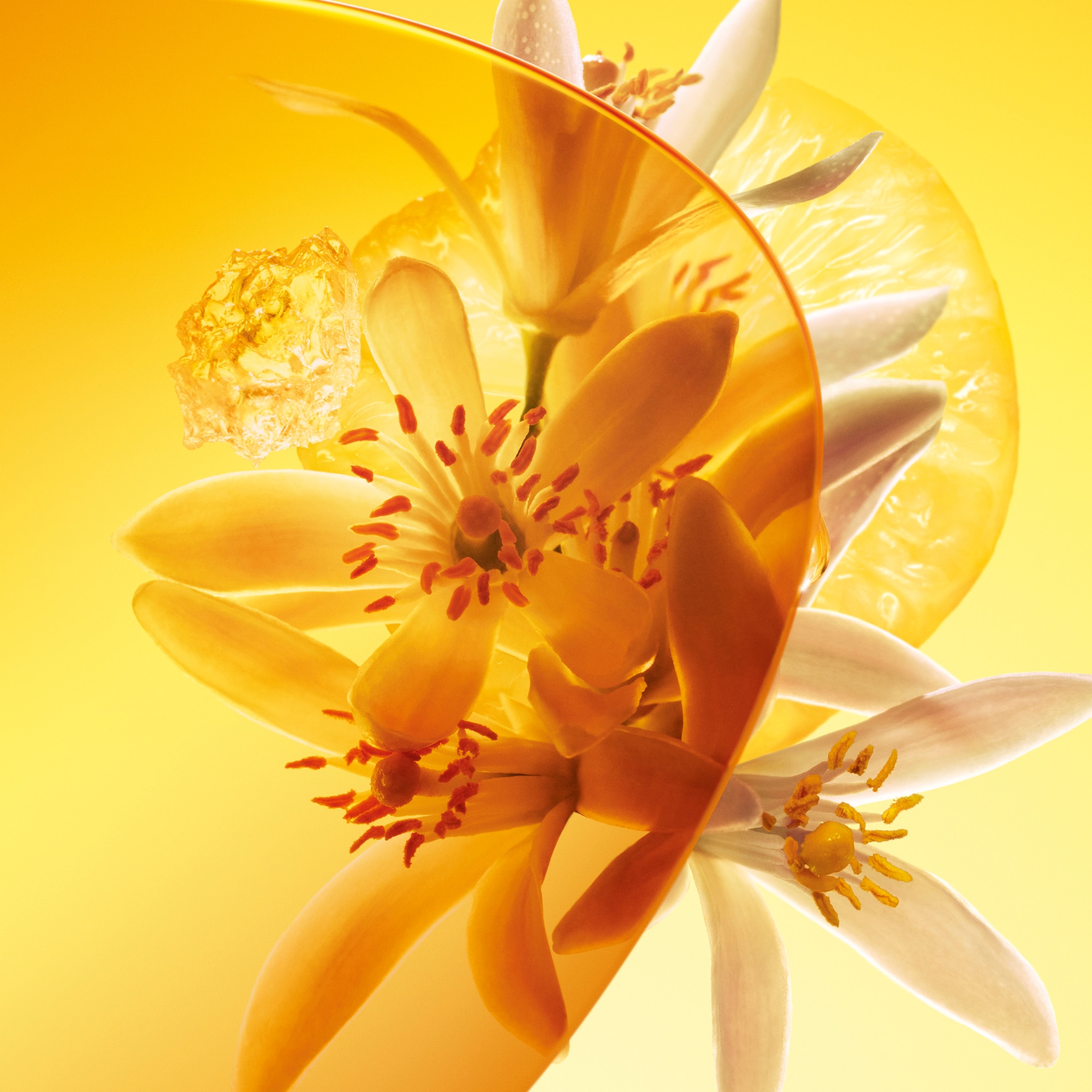 Perfume Sun Song  Perfumes y Beauty Colecciones Perfumes masculinos | LOUIS VUITTON (Zoom de producto)