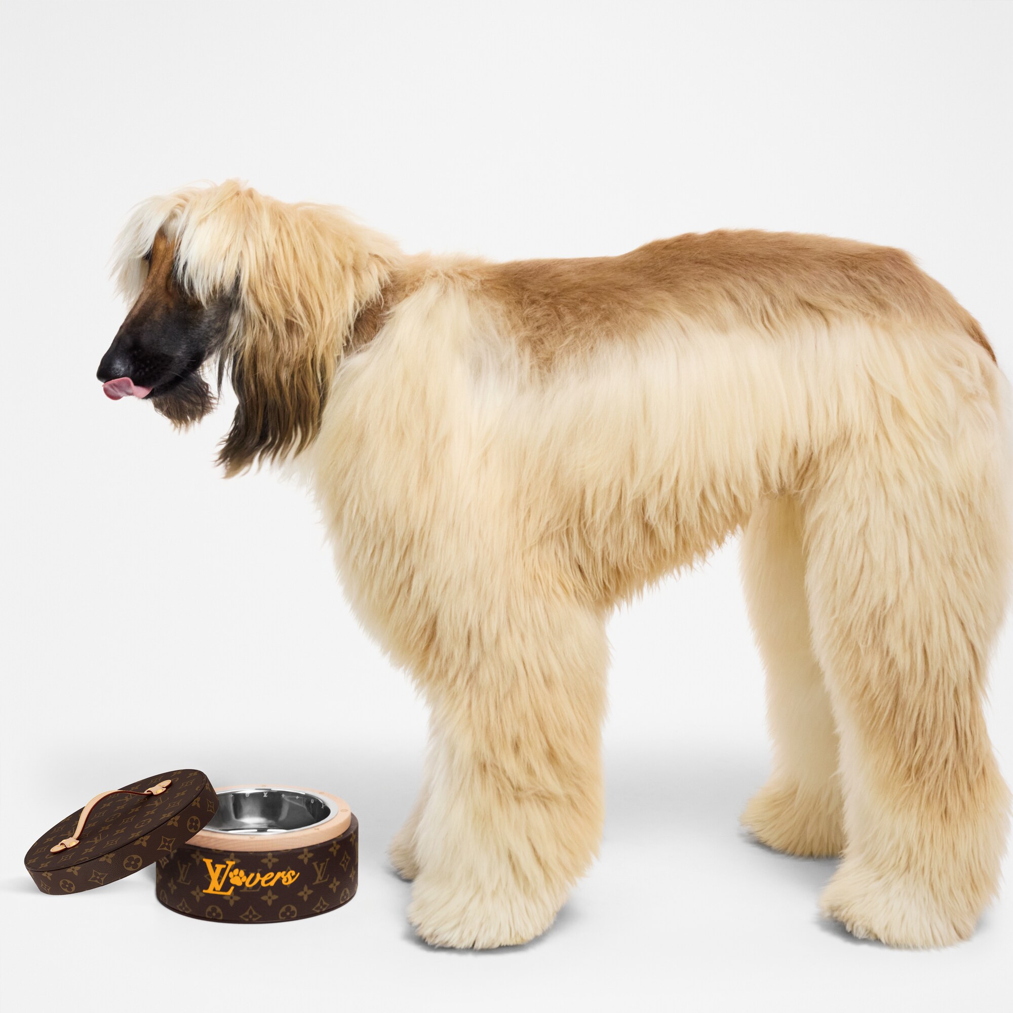 Recipiente para perros  Baúles, Viaje y Hogar Accesorios de Mascotas } | LOUIS VUITTON (Zoom de producto)