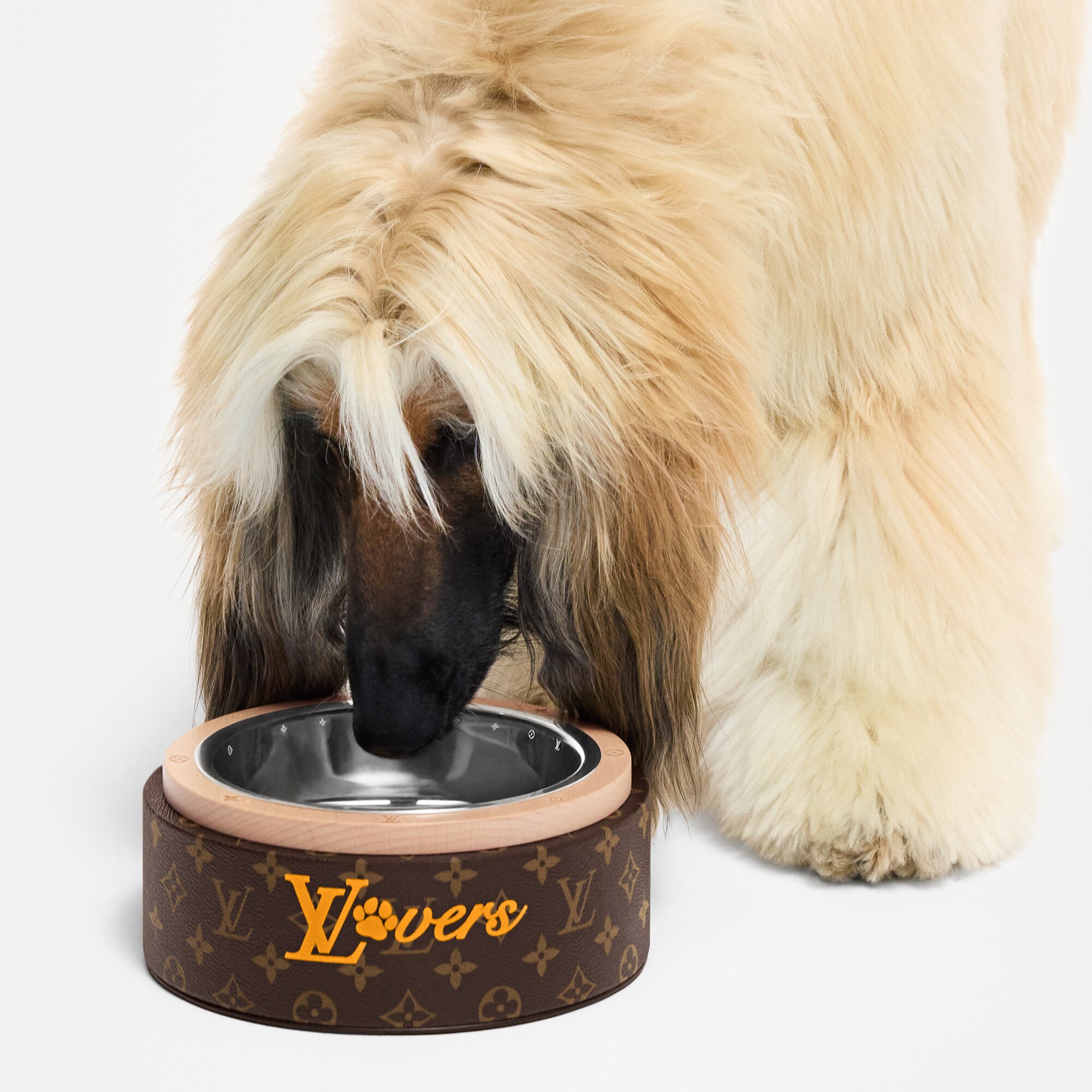 Recipiente para perros  Baúles, Viaje y Hogar Accesorios de Mascotas } | LOUIS VUITTON (Zoom de producto)