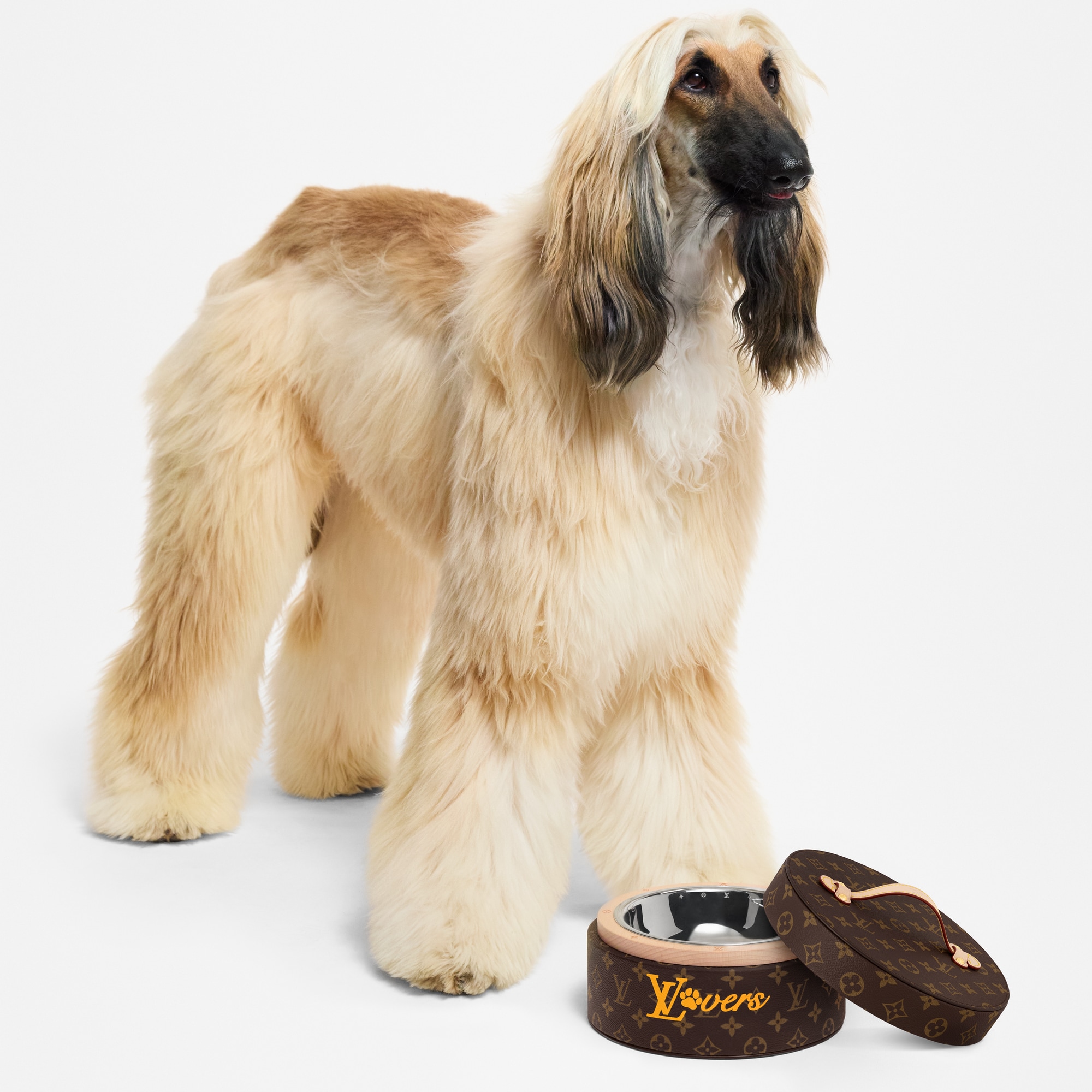 Recipiente para perros  Baúles, Viaje y Hogar Accesorios de Mascotas } | LOUIS VUITTON (Zoom de producto)